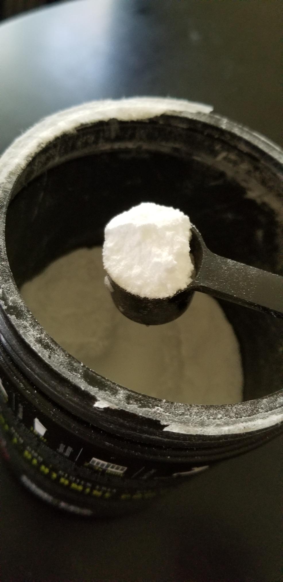 NutraBio Pure L-Glutamine Powder, 100 Servings, Pure Grade, Absolutely no Additives, Fillers or Excipients, Muscle Recovery Supplement - (500 Grams) customer photo 1