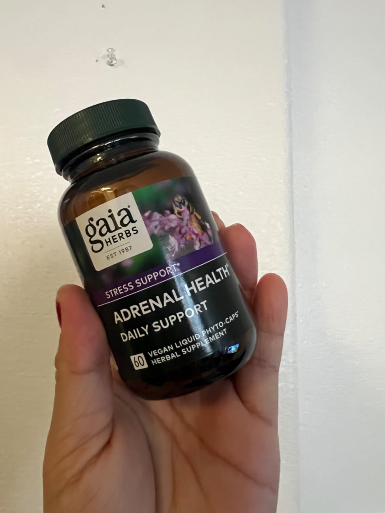 Gaia Herbs Adrenal Health Daily Support - Herbal Supplement with Ashwagandha, Holy Basil & Schisandra - Help Maintain Healthy Energy & Stress Levels - 60 Vegan Liquid Phyto-Caps customer photo 1