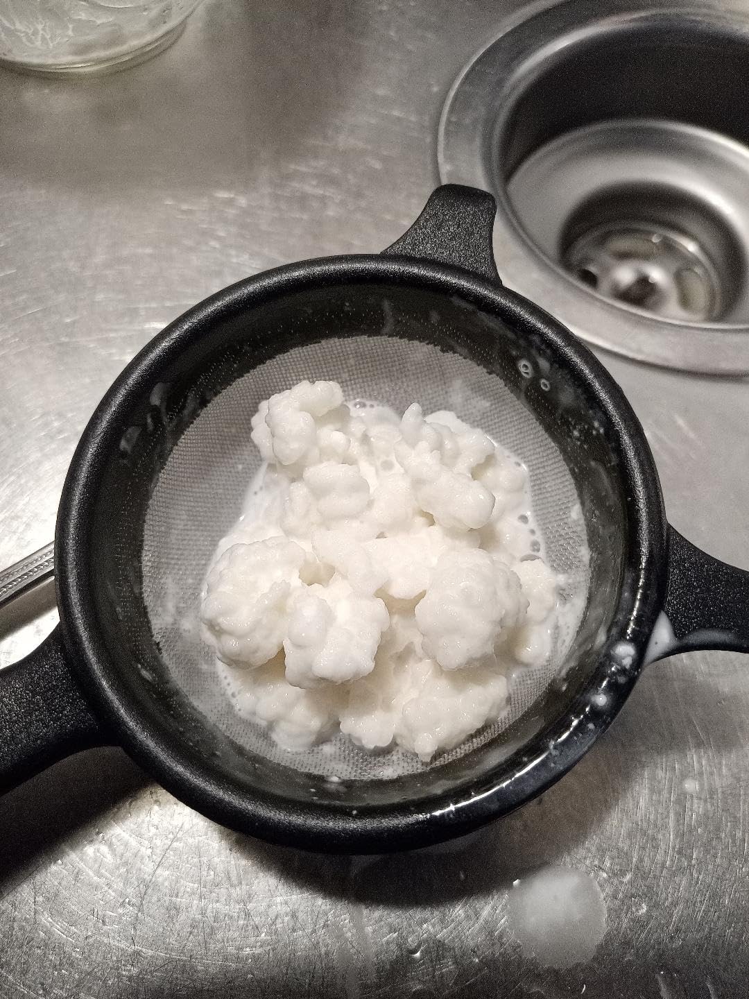 1 TBSP Milk Kefir Grains and eBook