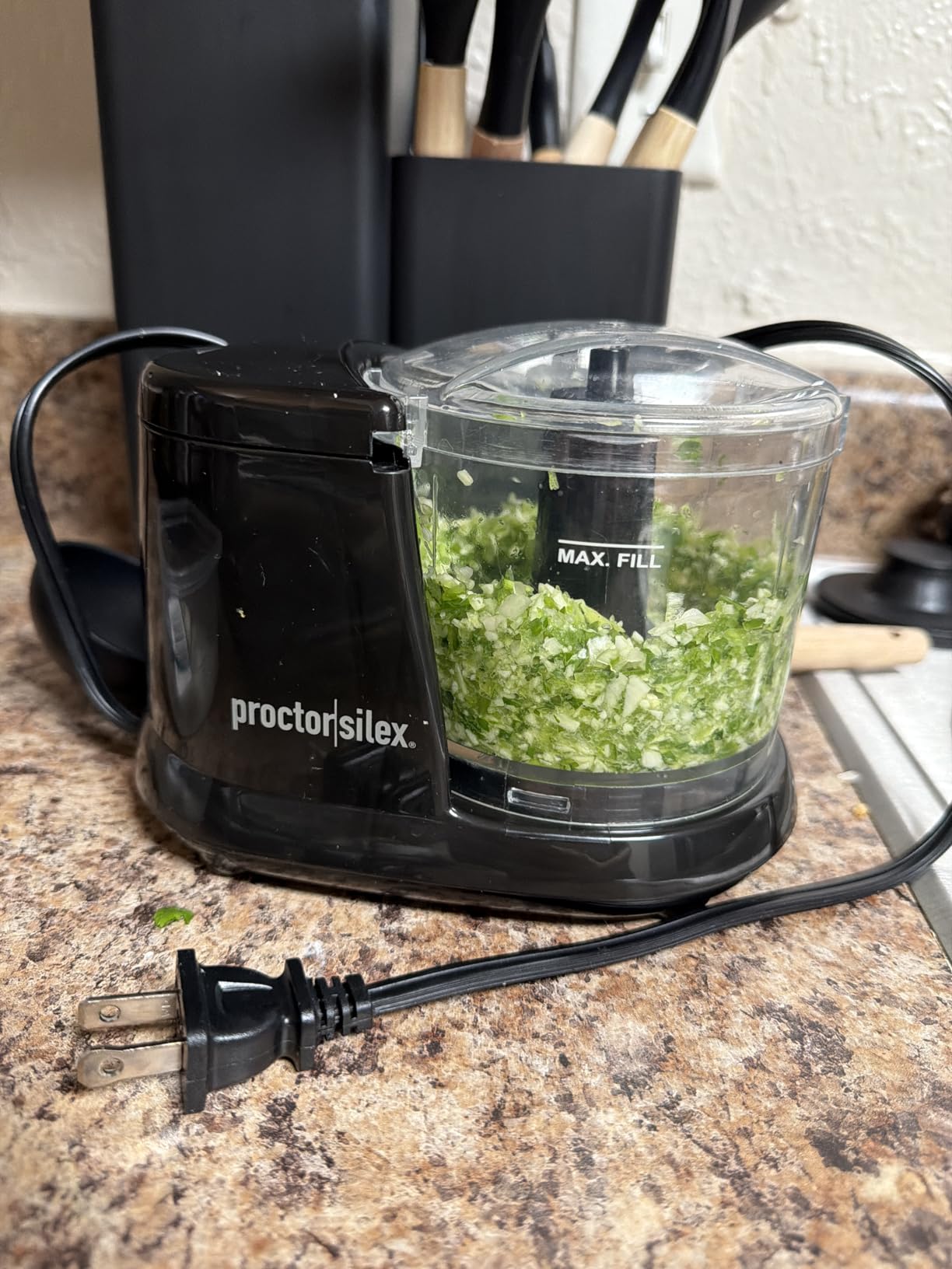 Proctor Silex Durable Electric Vegetable Chopper & Mini Food Processor customer photo 2