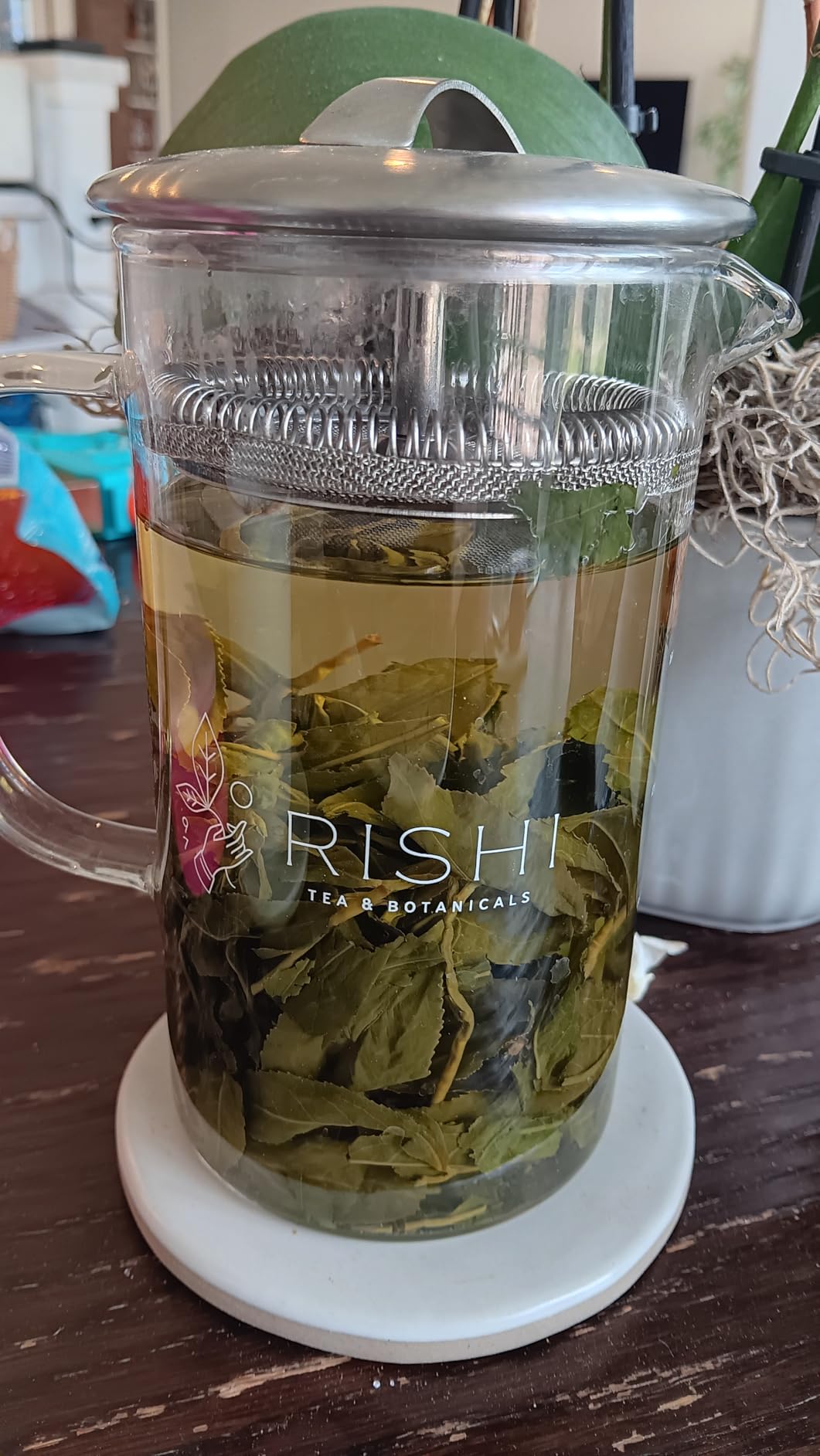 Rishi Tea Simple Brew Teapot - For 12oz Loose Tea Preparation, Built-in Strainer, Everyday Teaware, Easy to Clean, Borosilicate Glass, Enjoy Hot or Iced Tea - 400ml customer photo 1
