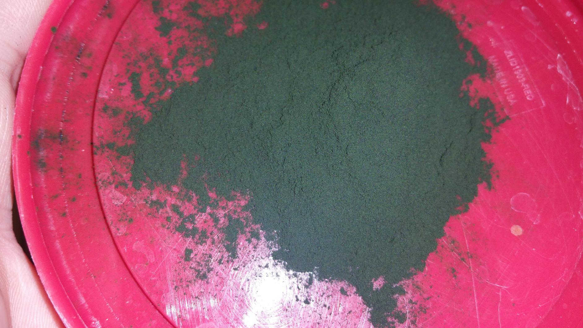 BulkSupplements.com Organic Chlorella Powder - Broken Cell Wall, Green Superfood Powder, Chlorella Supplement - Gluten Free, 3g per Serving, 250g (8.8 oz) (Pack of 1) customer photo 1