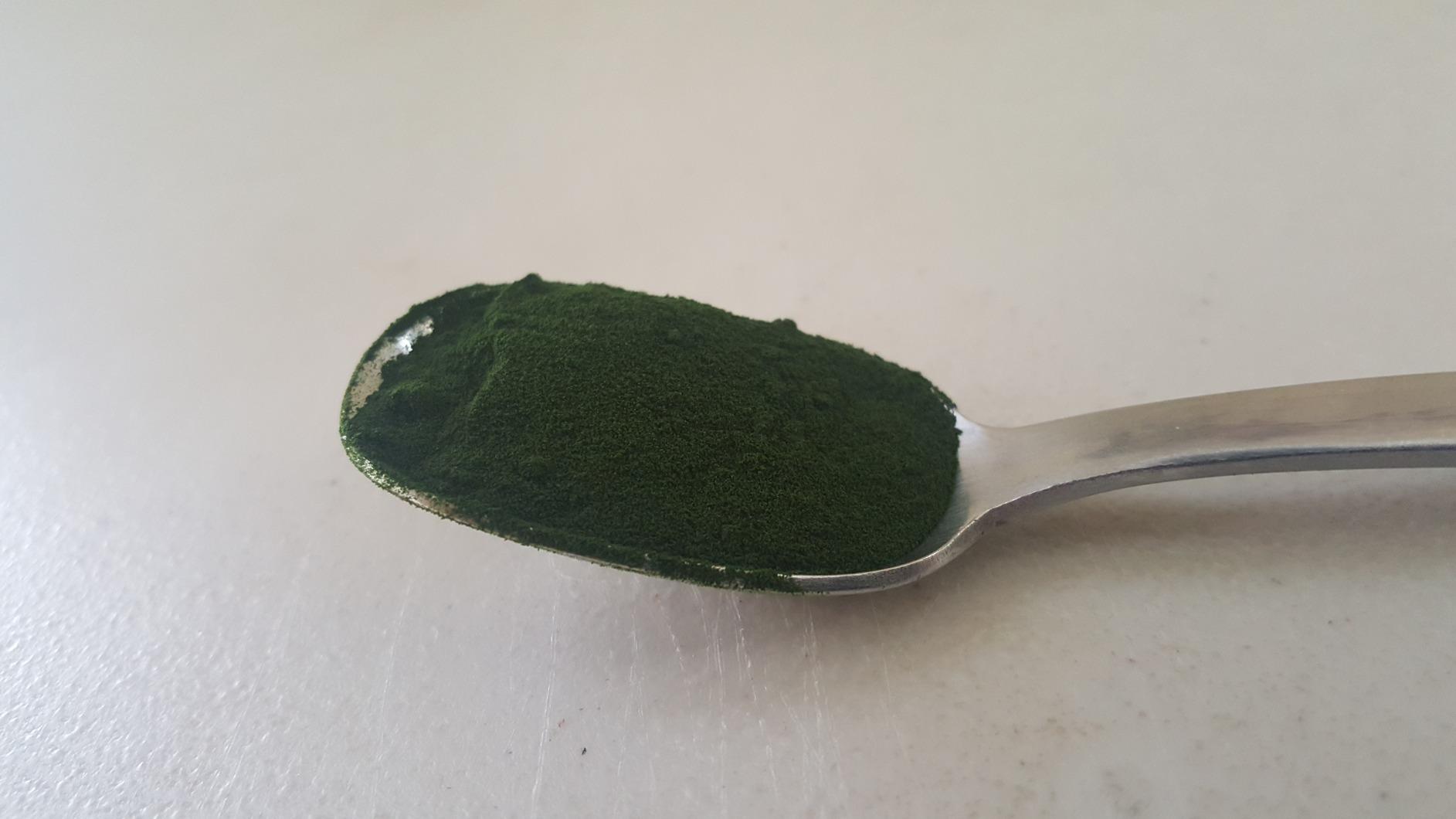 Terrasoul Superfoods Organic Wheat Grass Juice Powder, 5 Oz, Grown in Utah, Made from Nutrient Concentrated Juice, Revitalize with Green Nutrition: Smoothies, Detox Drinks, and Wellness Shots customer photo 2