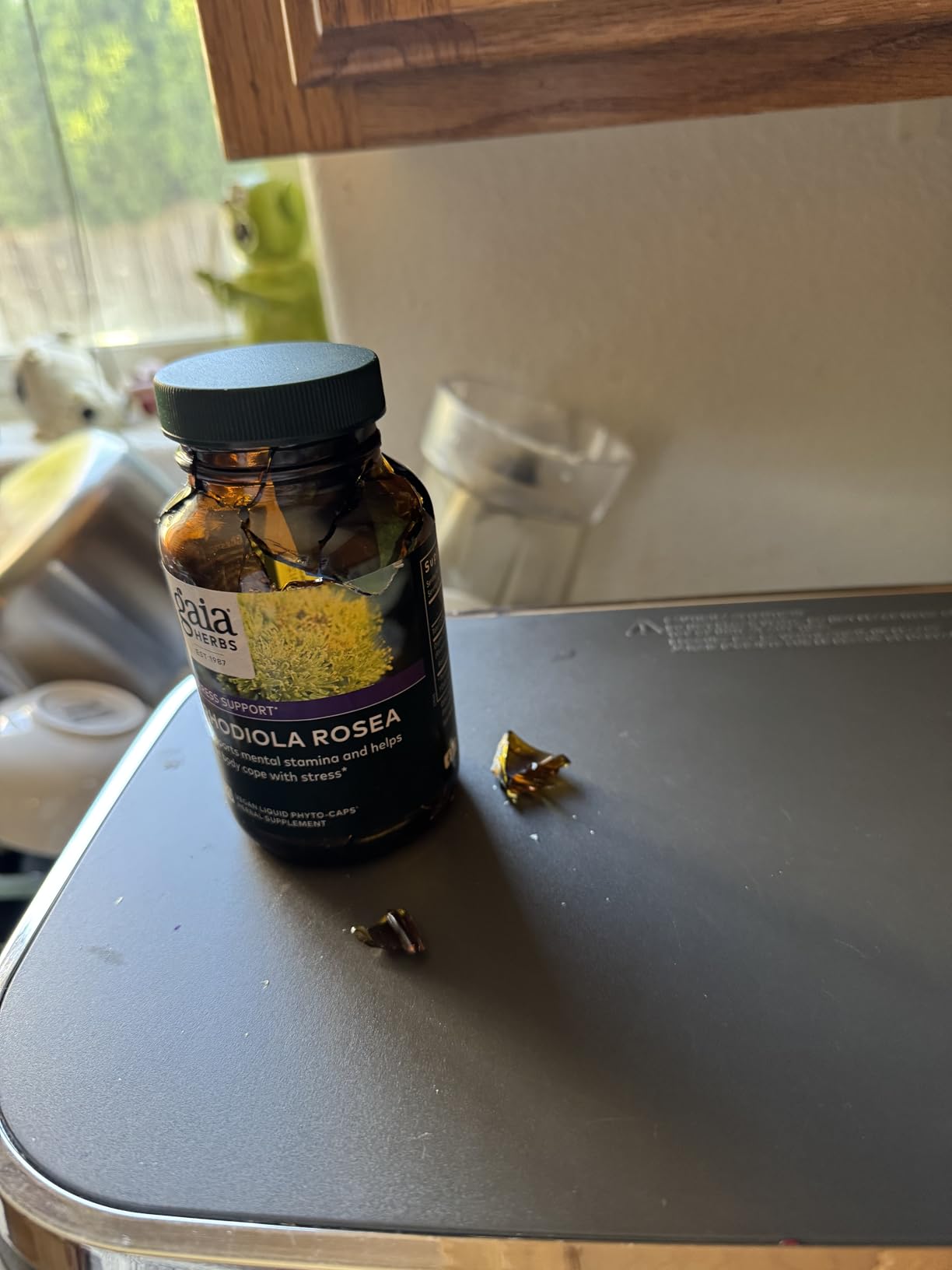 Gaia Herbs Rhodiola Rosea - Stress Support Supplement Traditionally for Supporting Healthy Stamina & Endurance* - with Siberian Rhodiola Root Extract - 120 Vegan Liquid Phyto-Caps (120 Servings) customer photo 1