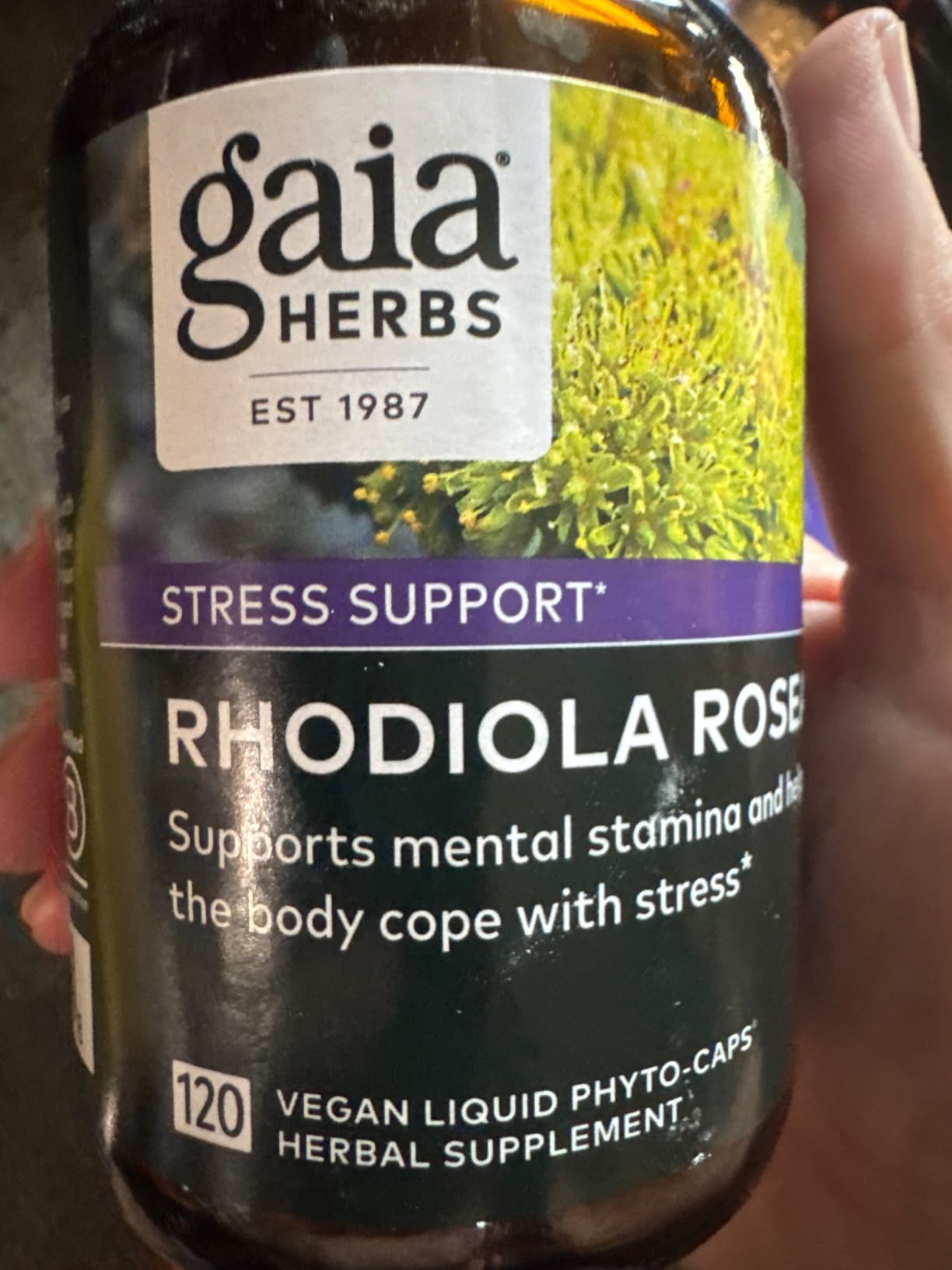 Gaia Herbs Rhodiola Rosea - Stress Support Supplement Traditionally for Supporting Healthy Stamina & Endurance* - with Siberian Rhodiola Root Extract - 120 Vegan Liquid Phyto-Caps (120 Servings) customer photo 2