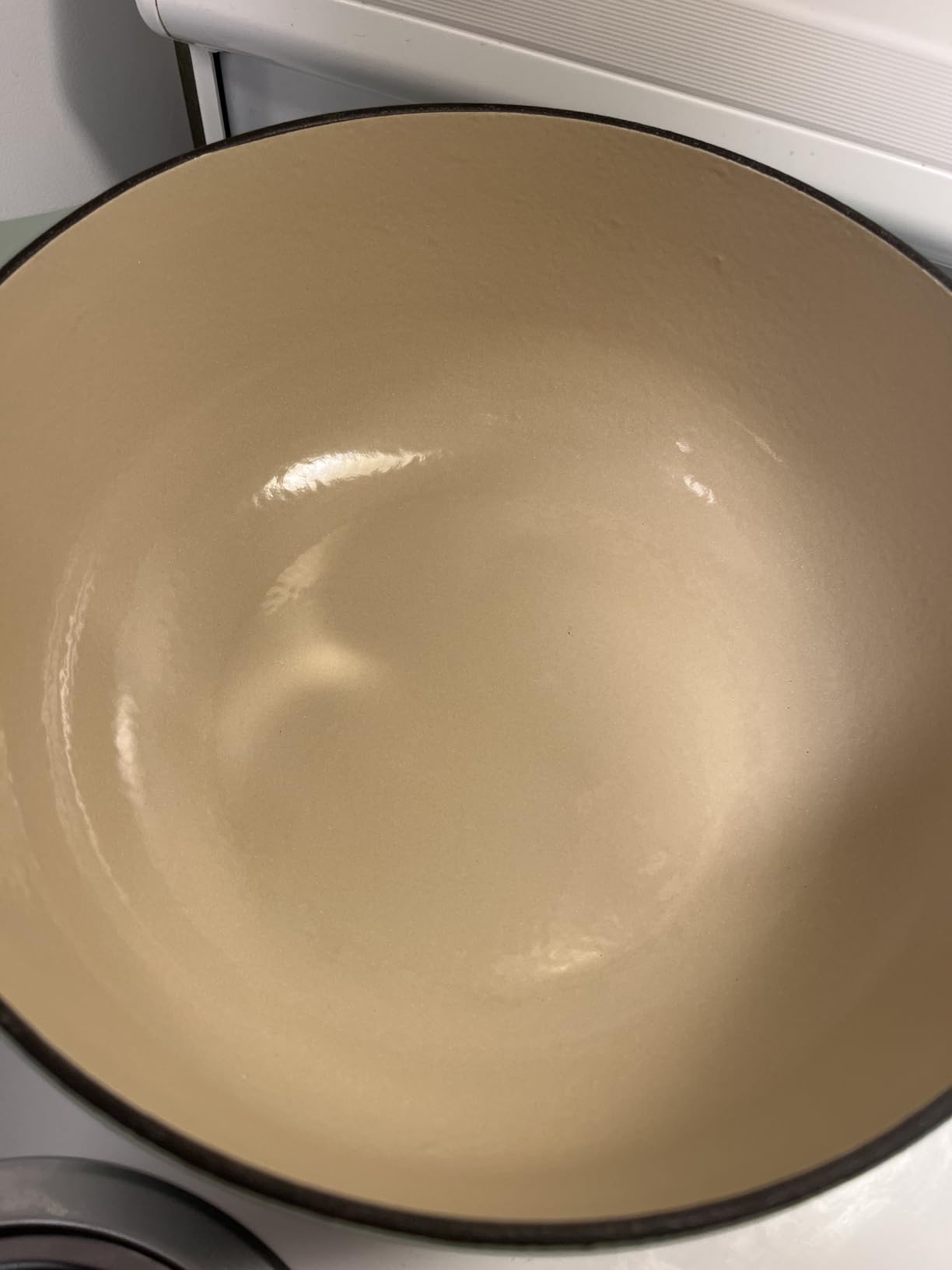 Lodge Essential Enamel Cast Iron Dutch Oven 6 Quarts, Oyster White customer photo 2