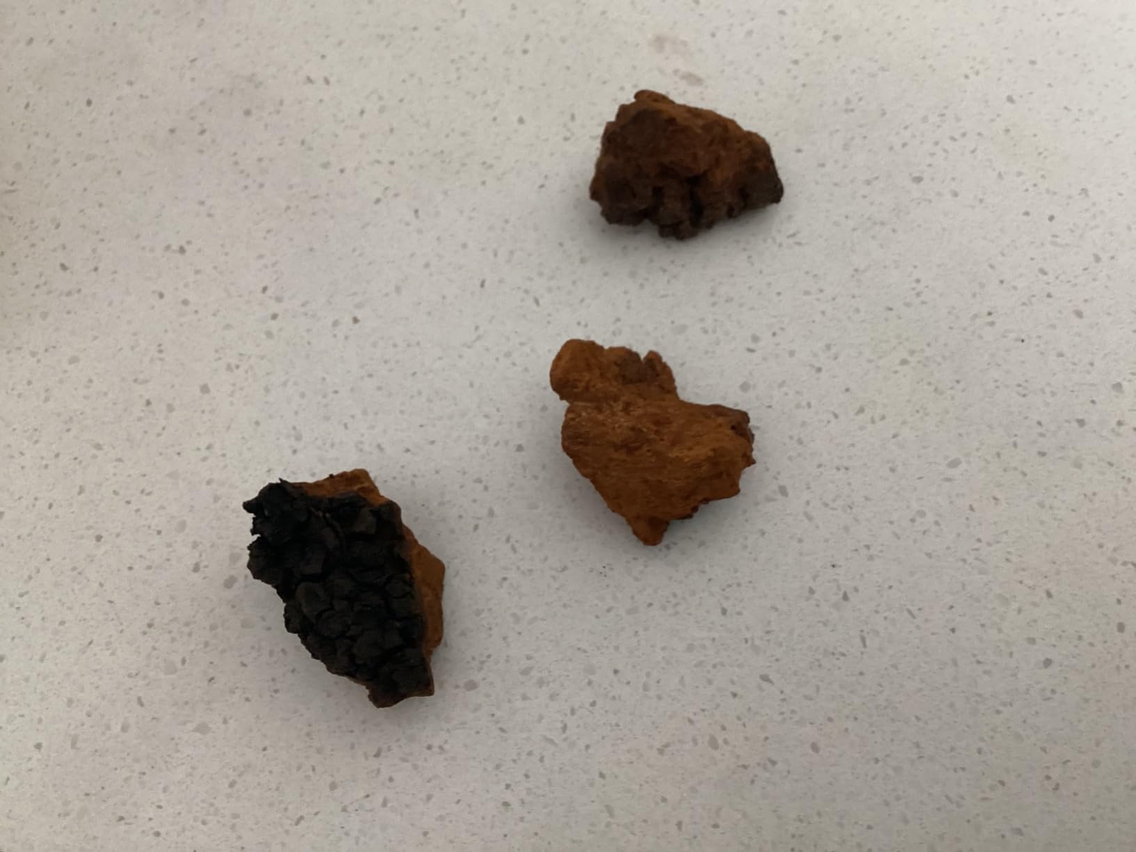 Sayan Siberian Pure Raw Chaga Mushroom Chunks with Black Top Crust 8 Oz / 223 g - Premium Wild-Harvested Antioxidant Tea for Immune Support, Focus and Digestive Health - Non-GMO customer photo 2