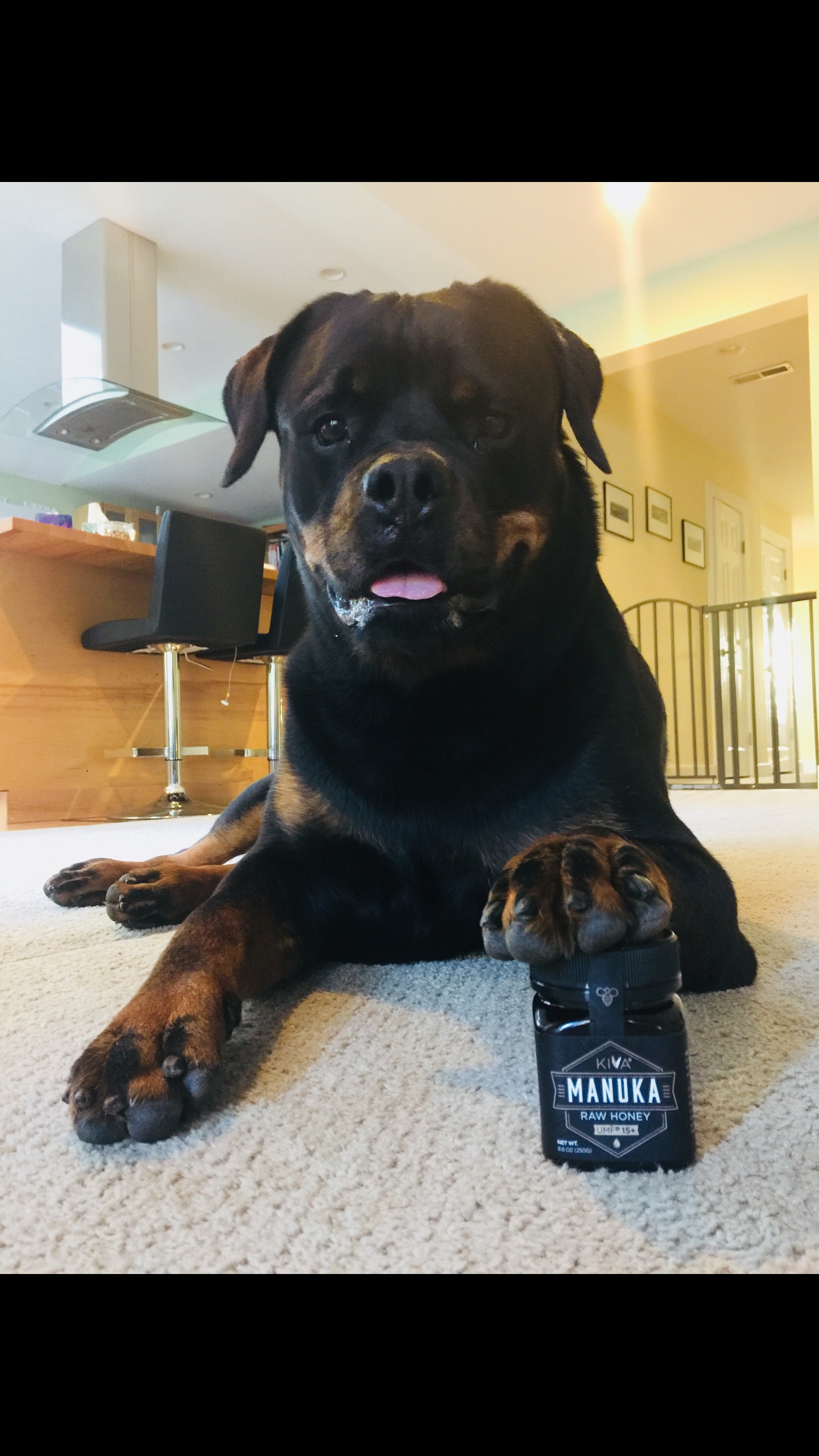 Kiva Raw Manuka Honey Certified UMF 20+, MGO 850+ 100% Pure New Zealand Honey - Non-GMO, Traceable, Non-Glyphosate (8.8 oz) customer photo 2