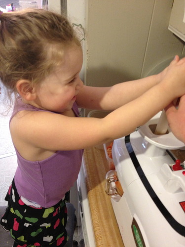 Tribest Greenstar GSE-5010 Elite Twin Gear Cold Press Slow Masticating Juicer (Black) customer photo 2