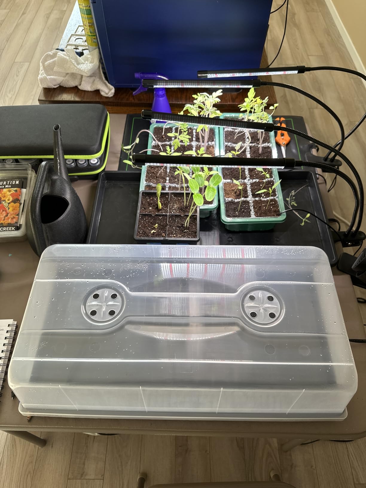 Bootstrap Farmer Humidity Dome 5