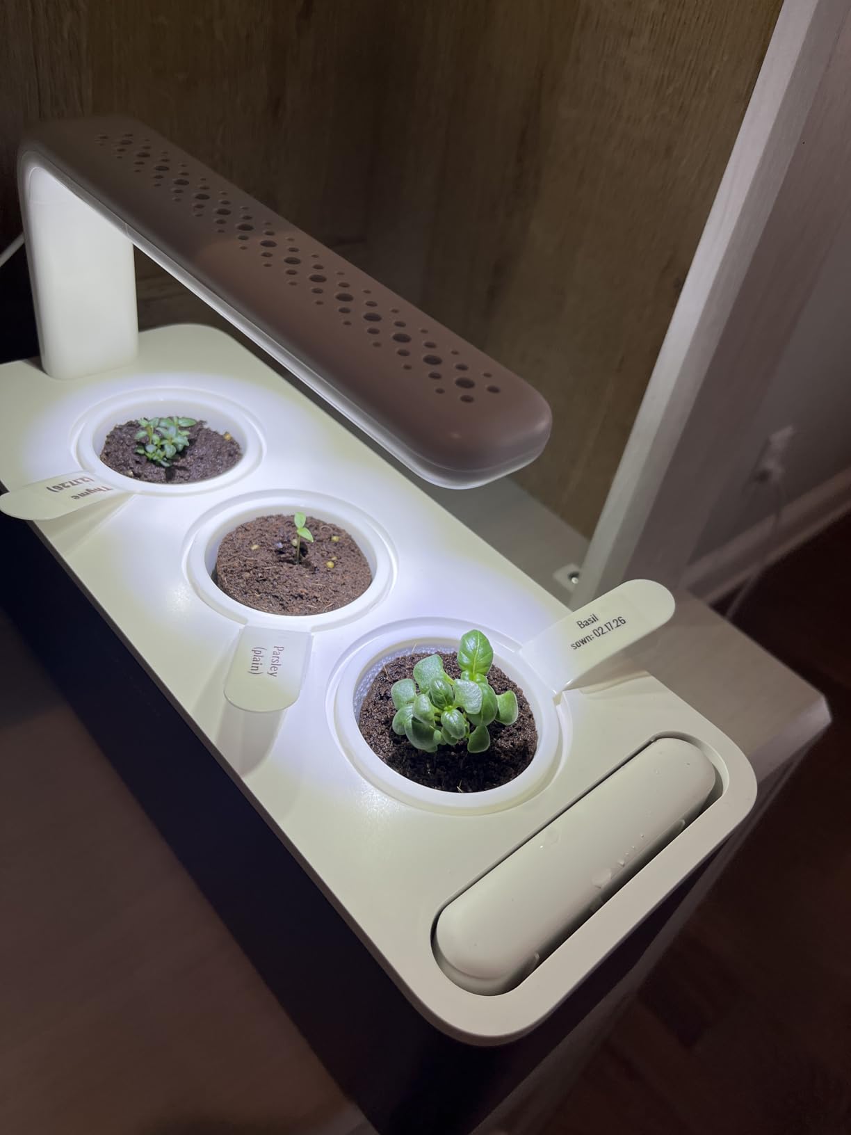 Click & Grow Indoor Herb Garden Kit with Grow Light | Smart Garden 3 Pods (White) customer photo 1
