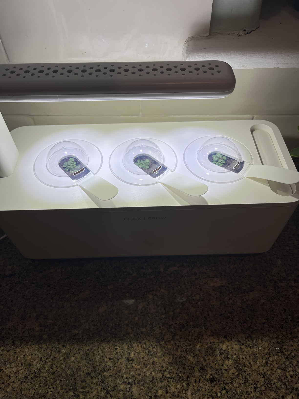 Click & Grow Indoor Herb Garden Kit with Grow Light | Smart Garden 3 Pods (White) customer photo 2