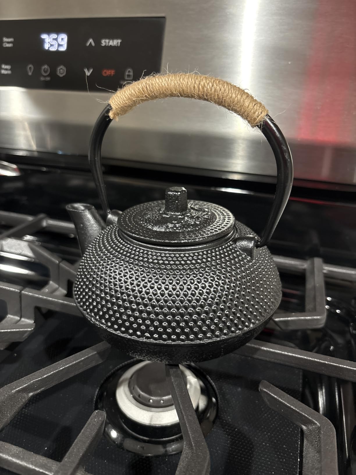 suyika Japanese Tetsubin Cast Iron Teapot Tea Kettle with Stainless Steel Infuser for Stovetop Safe Coated with Enameled Interior, 22 oz/650 ml customer photo 2