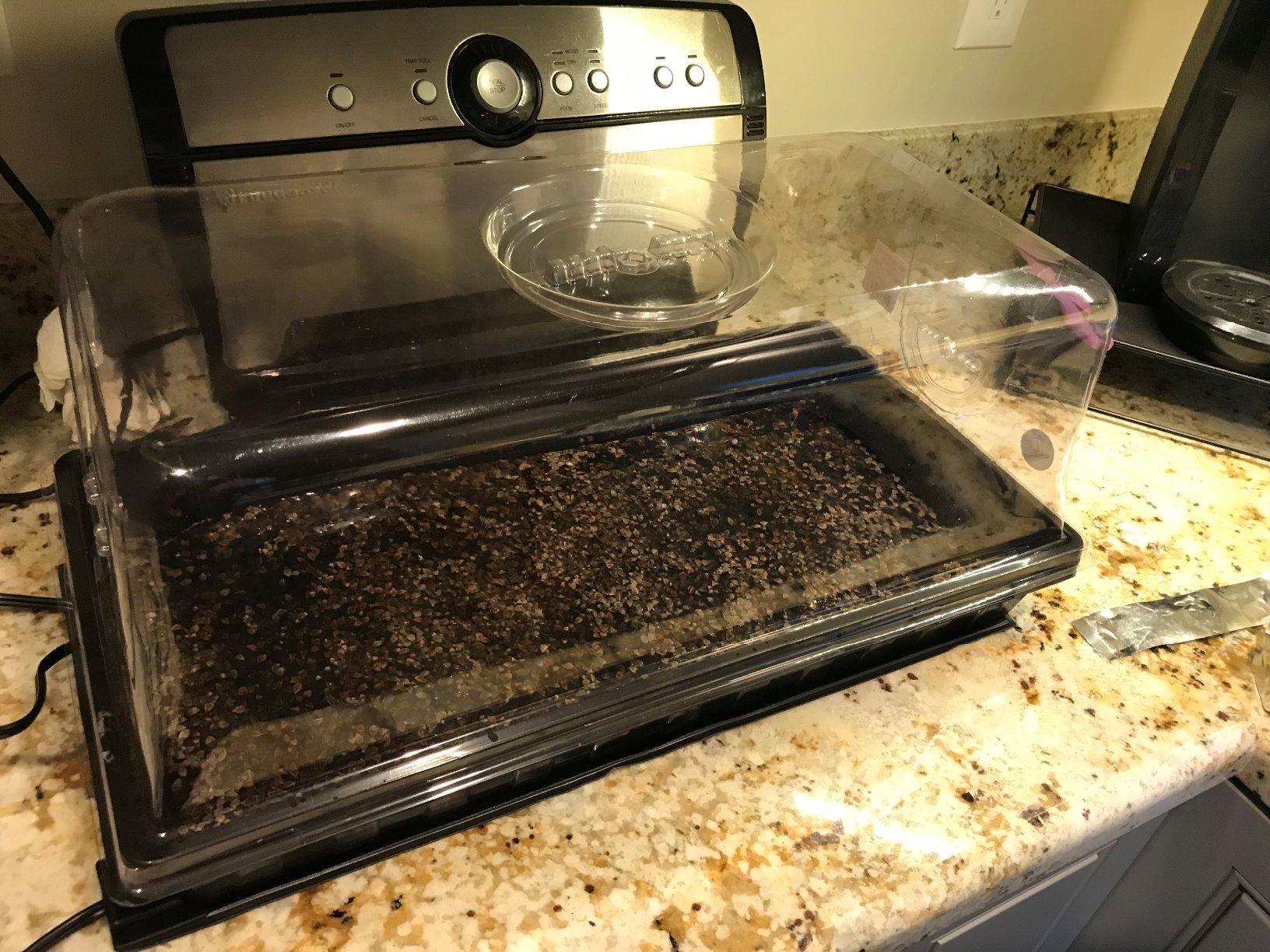 Bootstrap Farmer Mesh Bottom 1020 Trays - 10 Pack Extra Strength Microgreens Soil Blocks Hydroponics customer photo 2