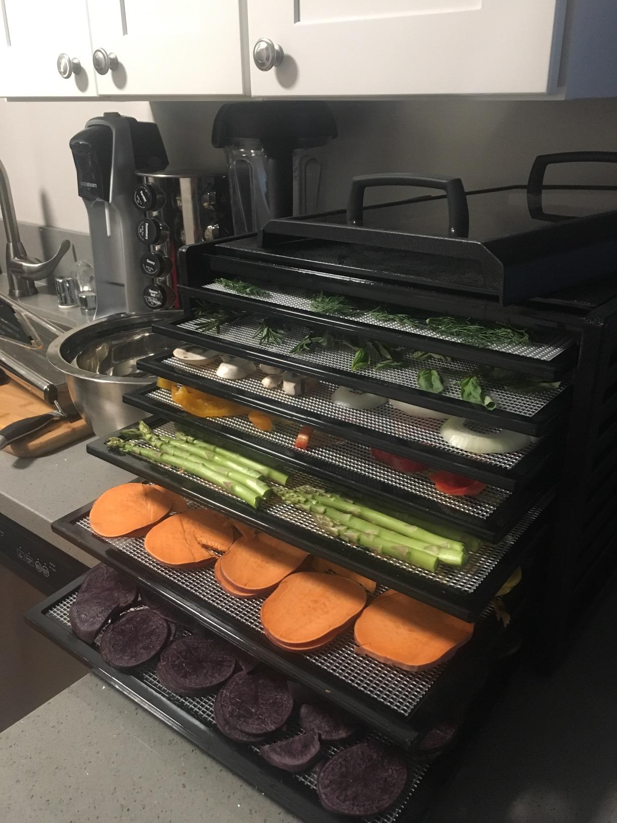 Excalibur 3548CDB Electric Food Dehydrator Features Adjustable Thermostat and Digital 48-Hour Timer Faster and Efficient Drying, 5-Tray, Black customer photo 2