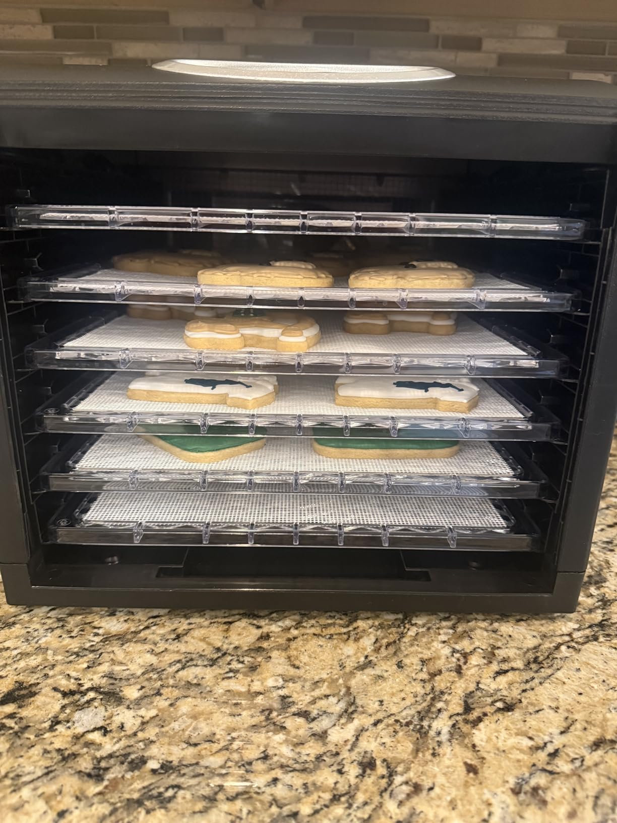 9 Tray Countertop Digital Food Dehydrator Drying Machine 600w with Preset Temperature Settings, Auto Shutoff Timer and Even Heat Circulation for Beef Jerky, Fruits, Vegetables & Nuts customer photo 1