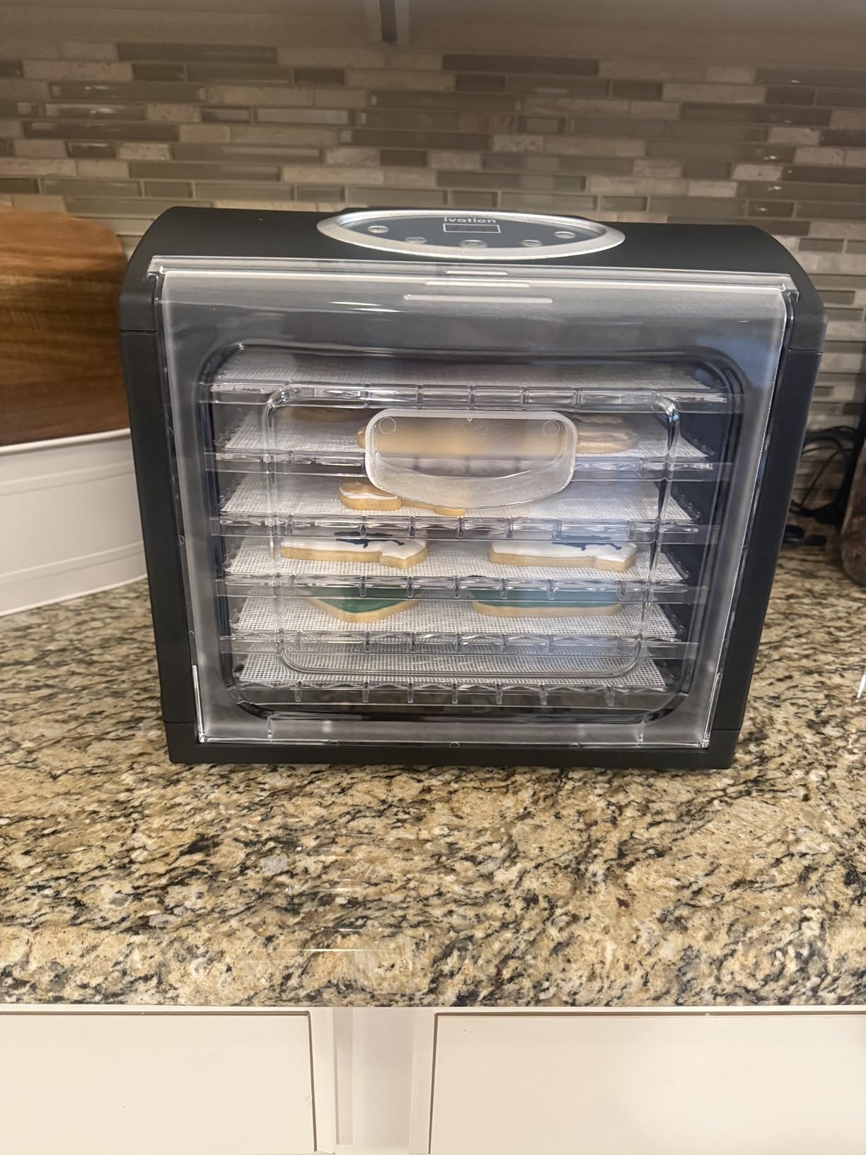 9 Tray Countertop Digital Food Dehydrator Drying Machine 600w with Preset Temperature Settings, Auto Shutoff Timer and Even Heat Circulation for Beef Jerky, Fruits, Vegetables & Nuts customer photo 2