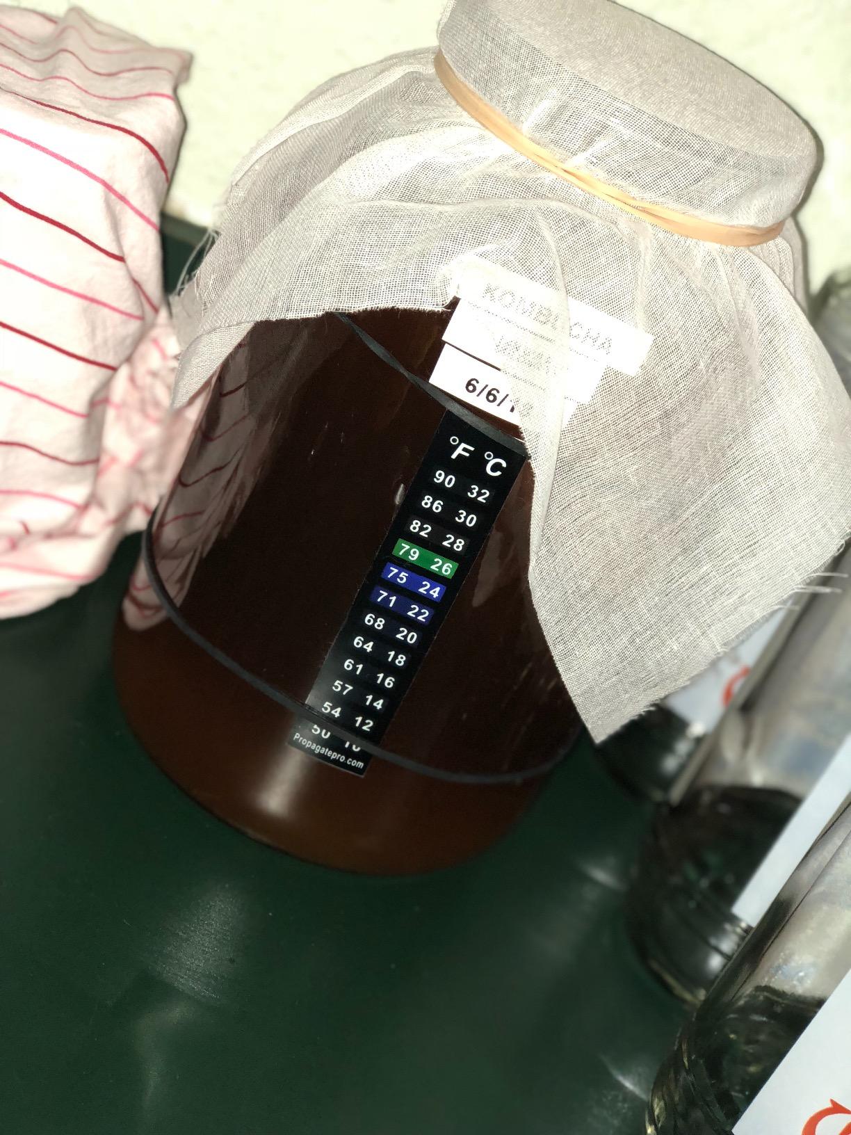 kitchentoolz 1 Gallon Glass Wide Mouth Kombucha Brewing Mason Jar - Home Brewing and Fermenting Kit with Cotton Cloth Filter, Rubber Band and Plastic Lid (1 Jar) customer photo 1
