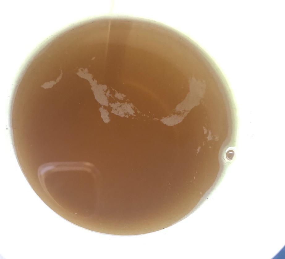 Bone Broth Beef Protein Powder - 1.25 lb / 20 oz, Unflavored - Made in USA - High Collagen & Gelatin from Grass Fed Bovine - Nutritious Marrow Benefits - Soups, Paleo & Keto Diets customer photo 2