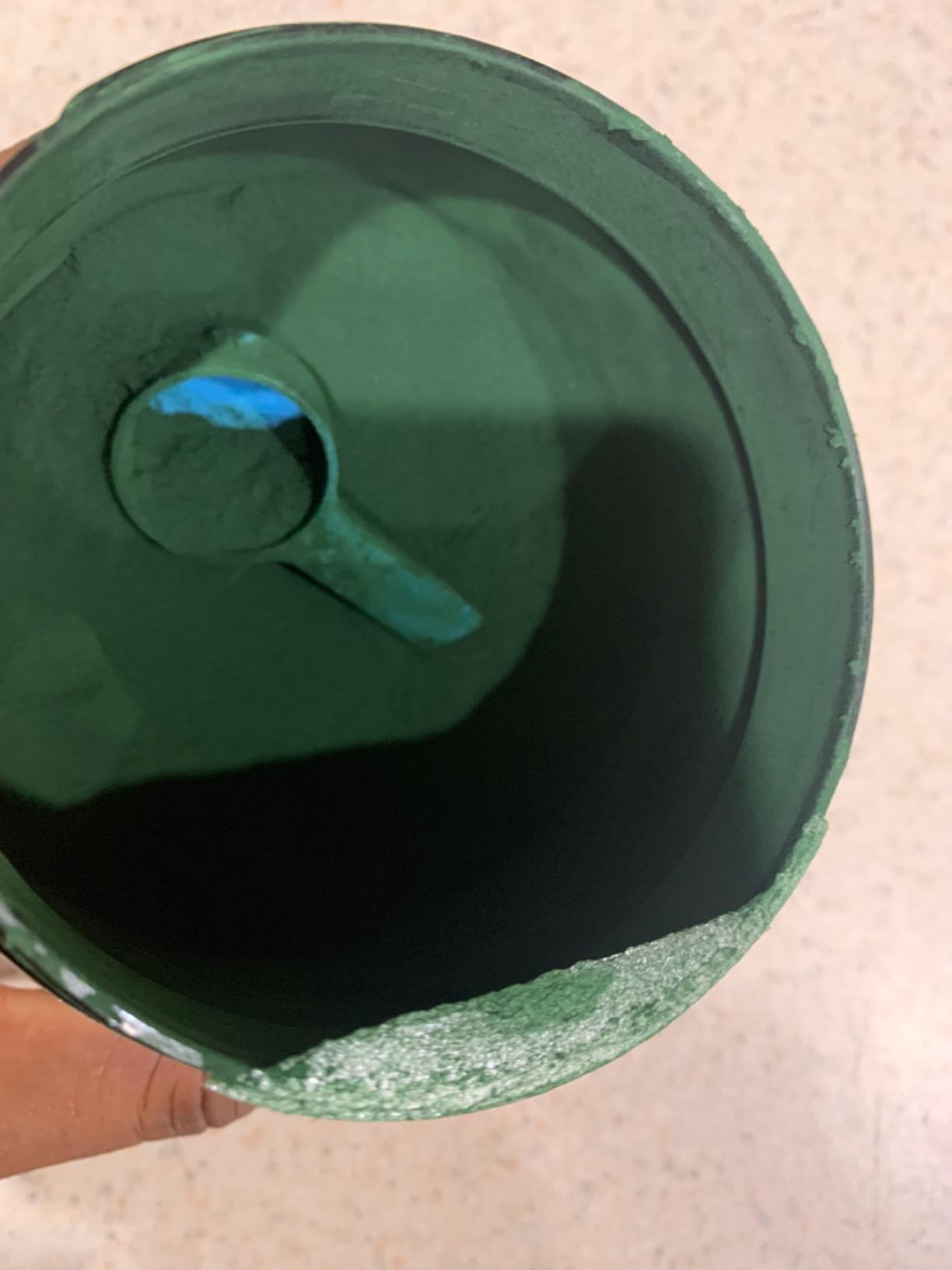 Premium USDA Organic Spirulina Powder - Organic Spirulina of Blue Green Algae from California & Hawaii - 100% Vegetarian & Vegan, Non-GMO, Non-Irradiated - The Best Green Superfood for Smoothies! customer photo 1