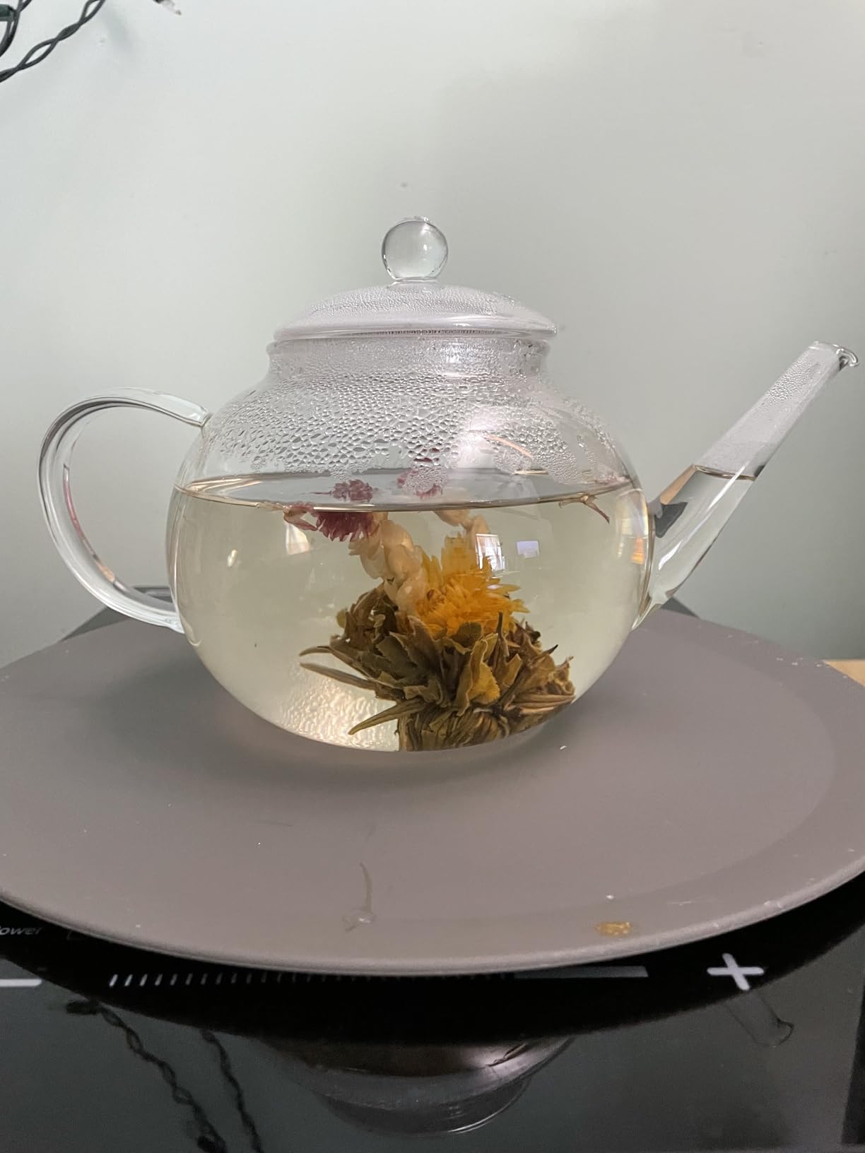 Teabloom Stovetop & Microwave Safe Glass Teapot with Removable Loose Tea Glass Infuser – Includes 2 Blooming Teas – 2-in-1 Tea Kettle and Tea Maker – Tea Purist's Choice customer photo 1