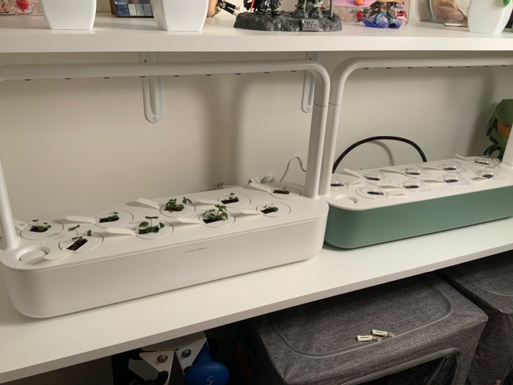 Click & Grow Smart Garden 9-Pod Indoor Herb Garden Kit with Grow Light (White) customer photo 1