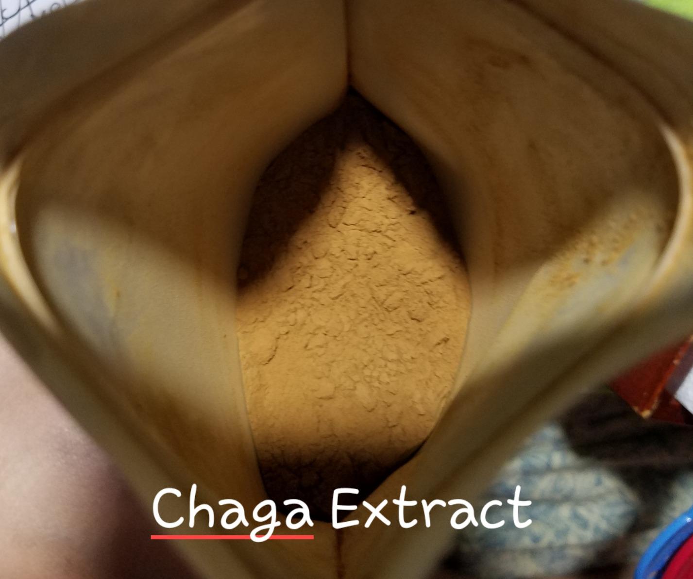 BulkSupplements.com Organic Chaga Mushroom Extract Powder - Chaga Powder, Mushroom Supplement - Gluten Free, 1g per Serving, 250g (8.8 oz) (Pack of 1) customer photo 2