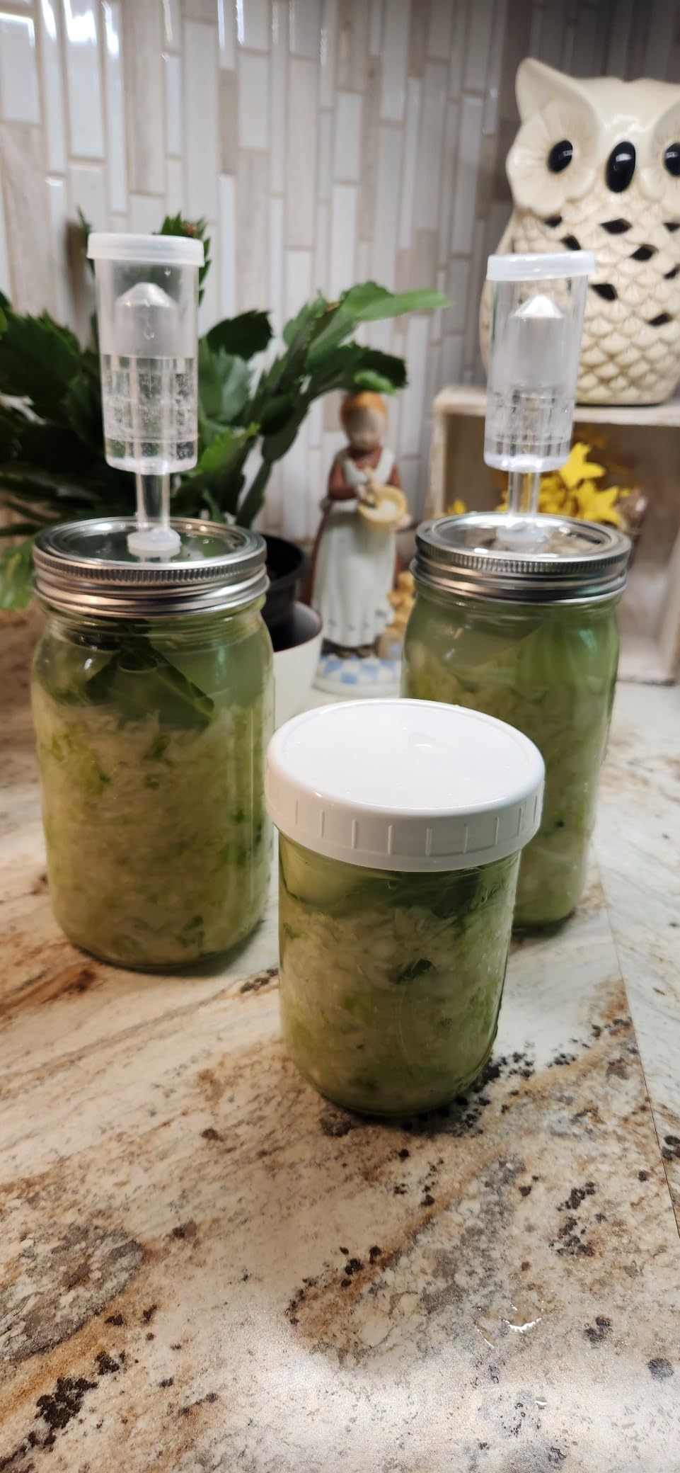 Fermentation Weights - NonSlip Grip Handle - for Wide Mouth Mason Jars - Set of 4 customer photo 1