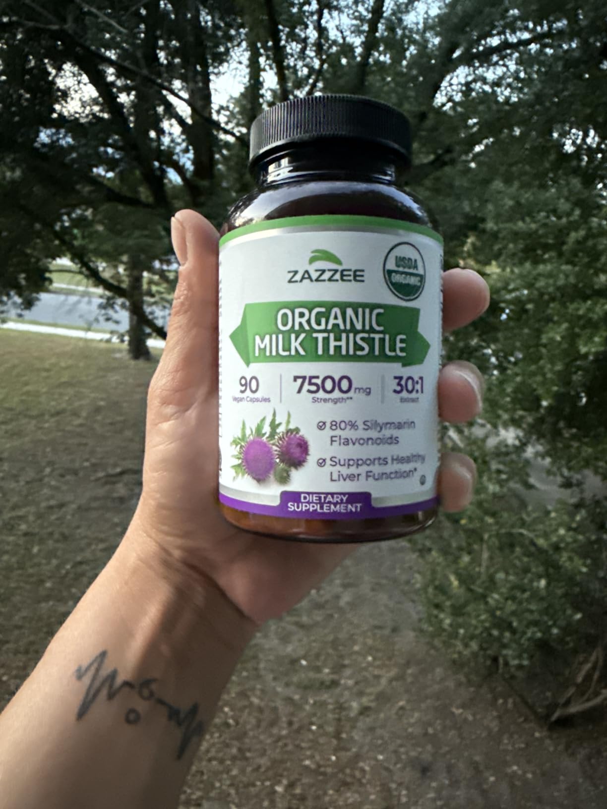 Zazzee USDA Organic Milk Thistle 30:1 Extract, 80% Silymarin, 120 Vegan Capsules, 4 Month Supply, Certified Kosher, High Potency Liver & Antioxidant Support, Silybum Marianum, Non-GMO, Made in the USA customer photo 1