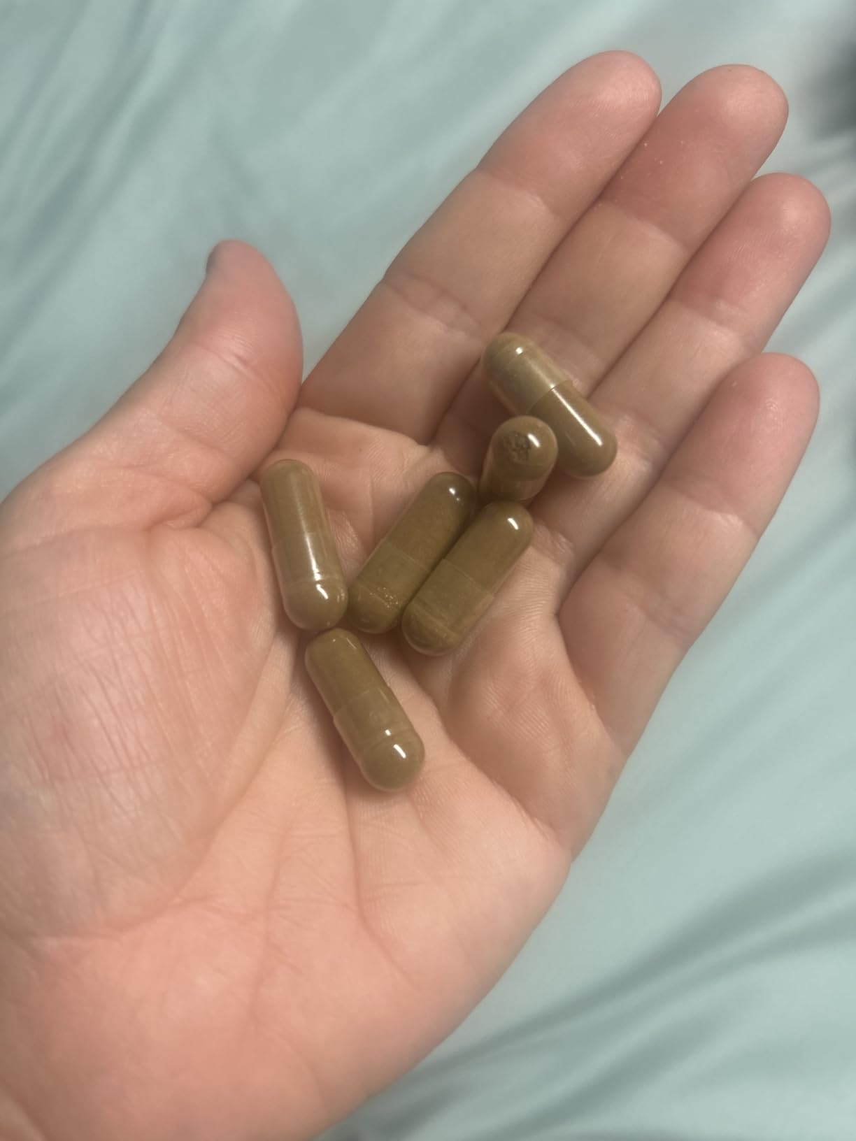 Real Mushrooms Turkey Tail Capsules - Organic Mushroom Extract for Wellness & Daily Rhythm - Vegan, Non-GMO, No Fillers Turkey Tail Extract - 90 Count Mushroom Supplement customer photo 1