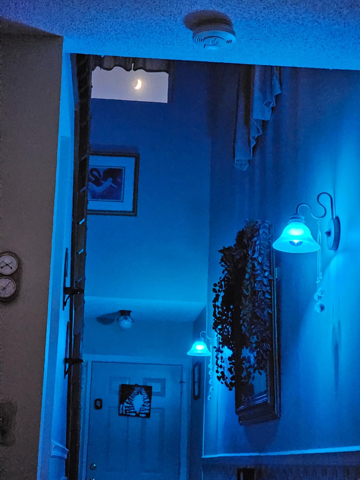 LEDVANCE Sylvania LED Red Glass Filament A19 Light Bulb, Dimmable, Efficient 4.5W, E26 Medium Base - 1 Pack (70300) customer photo 2