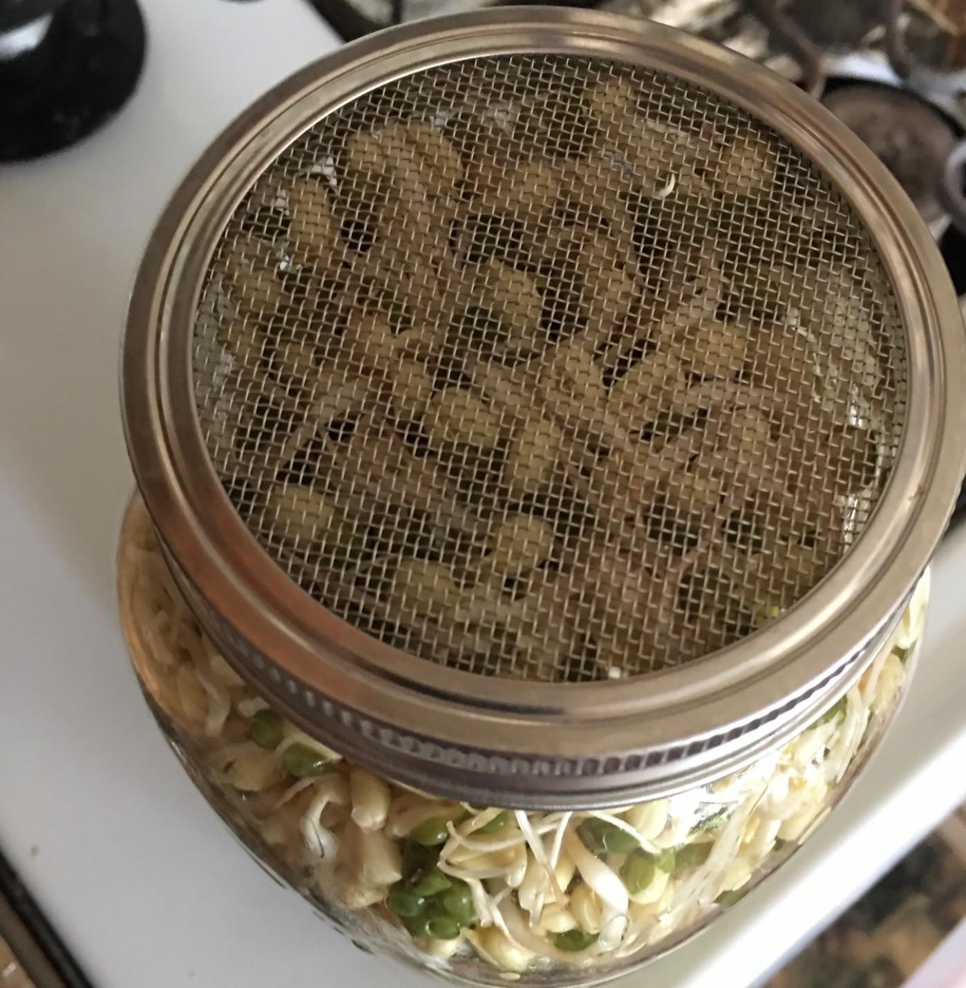 4 Pack Strainer Mesh Lids 316 Stainless Steel WIDE MOUTH Sprouting Lids for Mason Jars Canning Lid customer photo 2