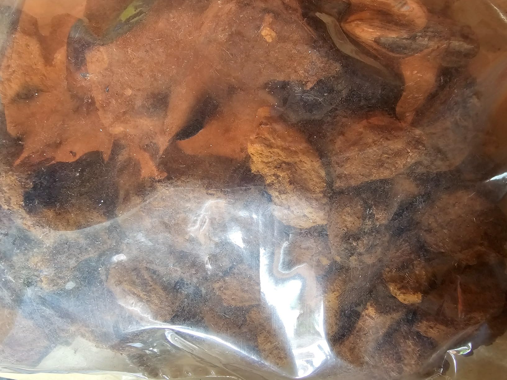 Chaga Mushroom Chunks - 8 ounce, 100% Wild Harvested with Black Top Crust, Premium Tea Chunks - Antioxidants, Healthy Drinks customer photo 1