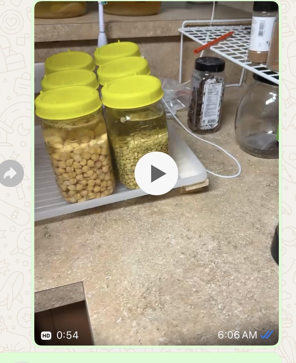 Picowe Plastic Sprouting Lids, Sprouting Jar Strainer Lid, for 86mm Wide Mouth Mason Jars, Canning Jars, Suit for Grow Bean Sprouts, Alfalfa, Salad Sprouts(8 Pack,Green) customer photo 1