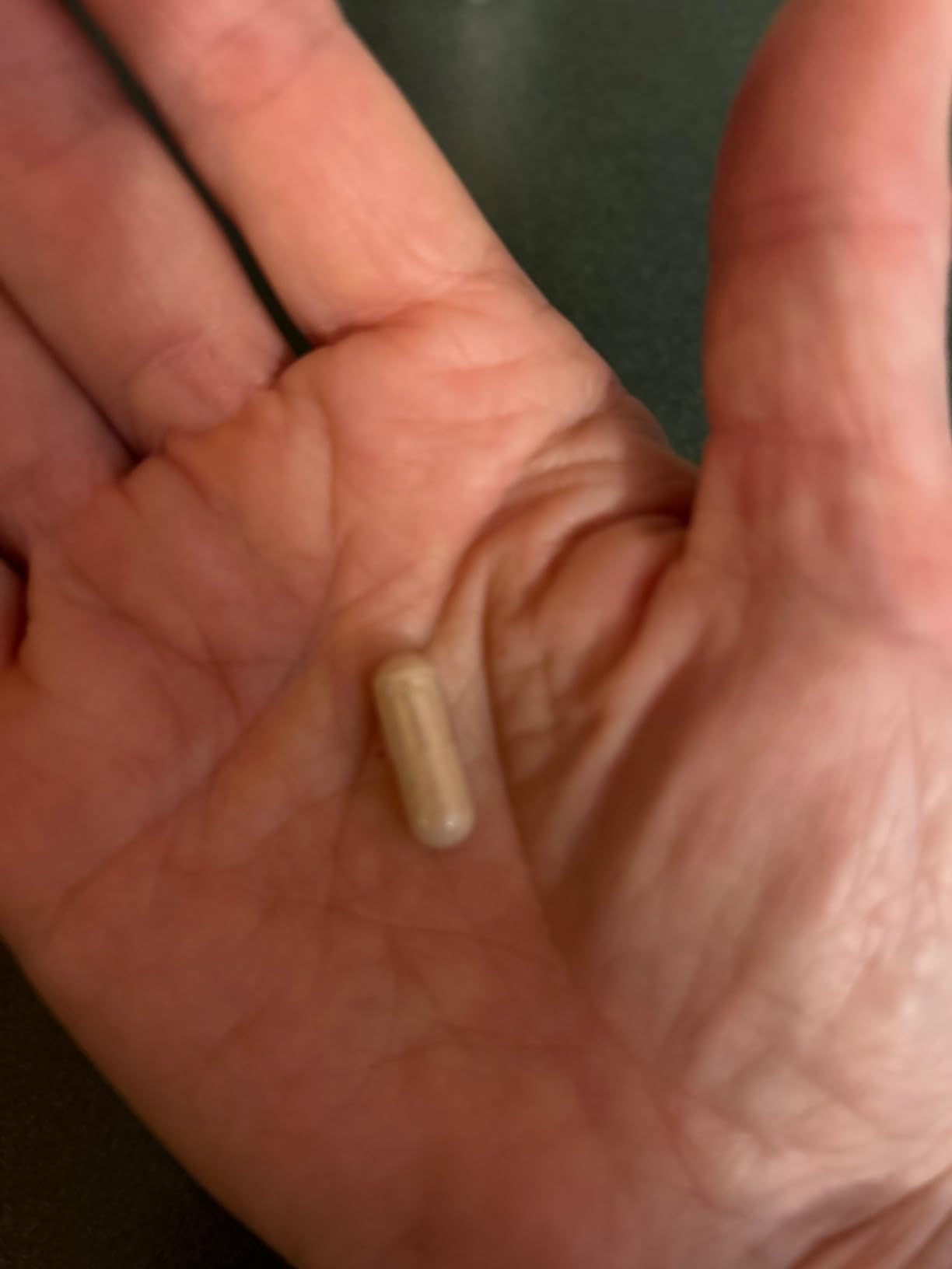 Horbäach Cordyceps Mushroom Capsules | 200 Count | CS-4 Strain Cordyceps Sinesis | Non-GMO Herbal Supplement customer photo 1