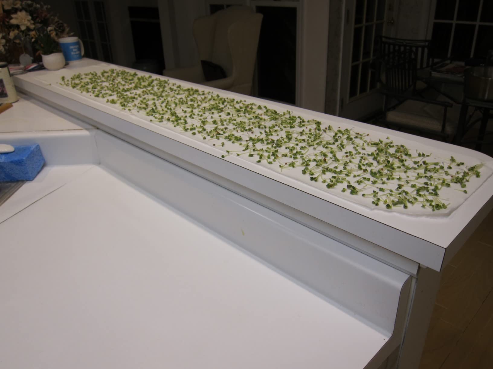 SOLIGT Stackable Stainless Steel Seed Sprouting Kit, 2-Tier Mesh Sprouting Trays, 1 Base and 1 Cover Lid customer photo 2