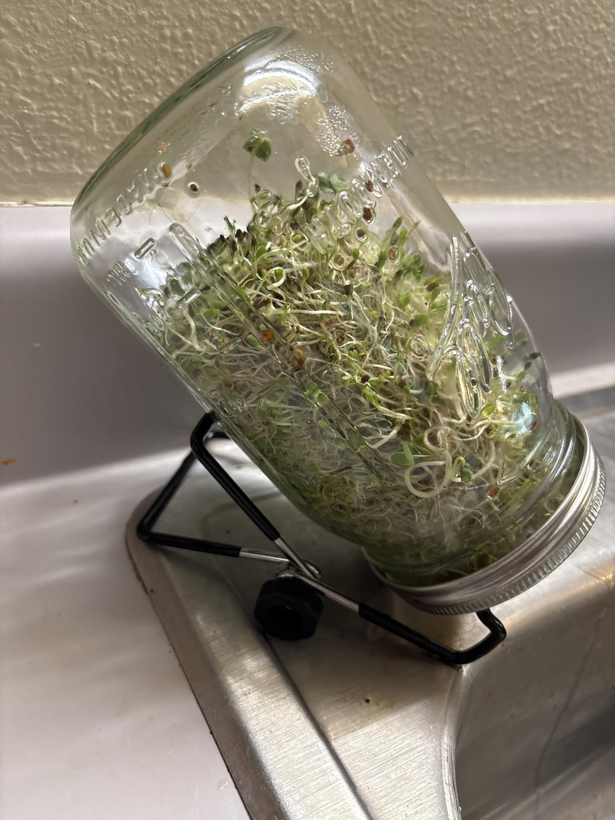 Sprouting Jar Lid (32oz Glass Jars) with 4 Pack Stainless Steel Sprouting Stands for Wide and Wide Mouth Mason Jar for Growing Organic Sprouts, Stainless Steel, 4 Pack customer photo 2
