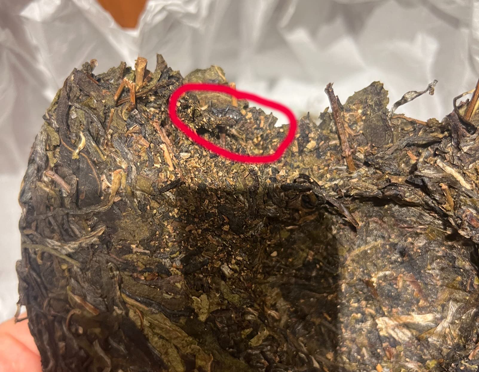 FullChea - Puerh Tea Cakes Year 2008/2018 - Raw Pu Erh - Menghai Pu-erh - Puer Chinese Tea from Mengsong - Detox Cleanse - 12.59oz / 357g customer photo 1