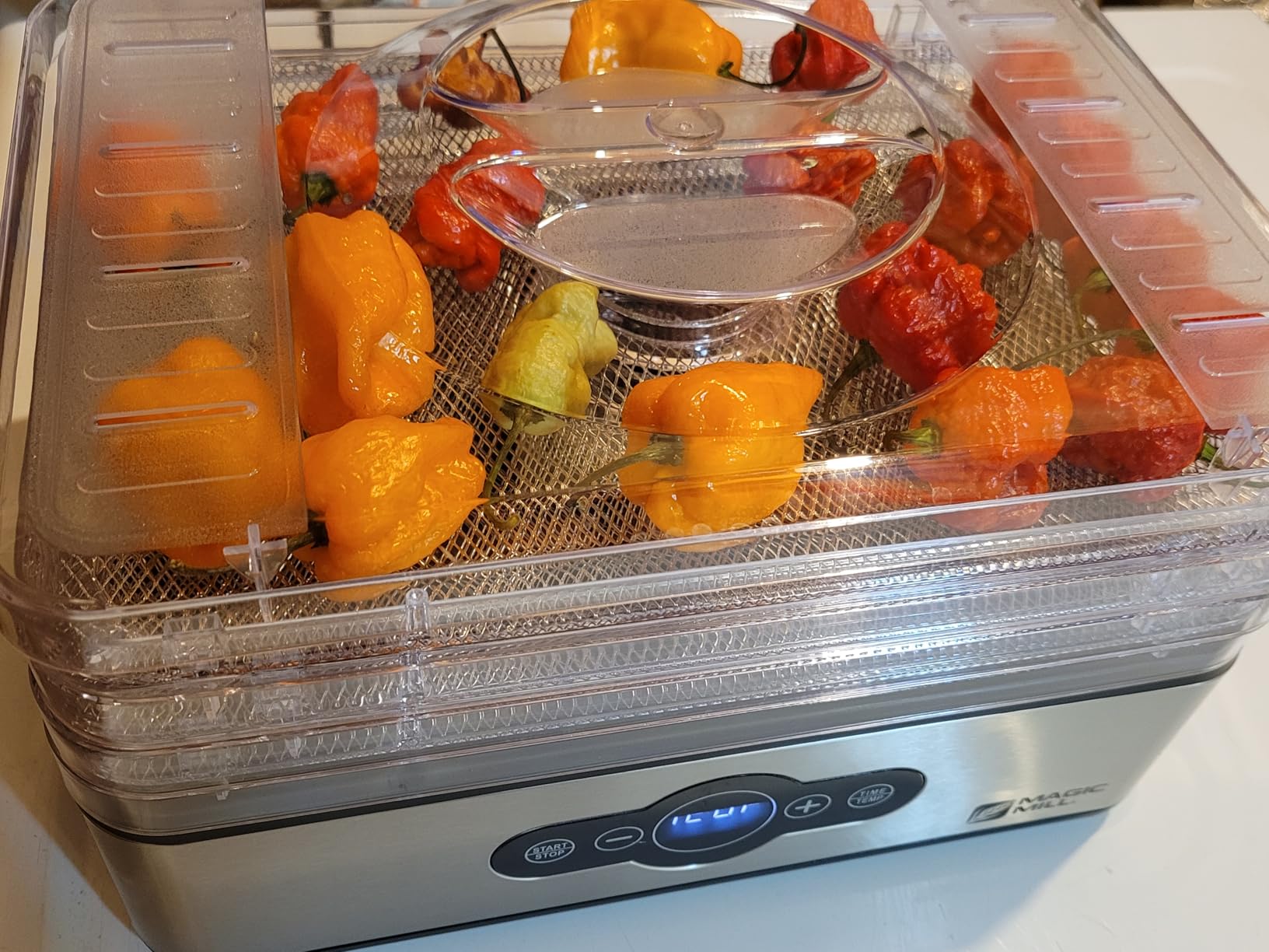 Magic Mill Food Dehydrator Machine | 5 Stackable Stainless Steel Trays, 48H Digital Adjustable Timer & Temperature Control Upto 167F Electric Dryer & Preserver for Jerky, Fruit, Dog Treats & Much More customer photo 1