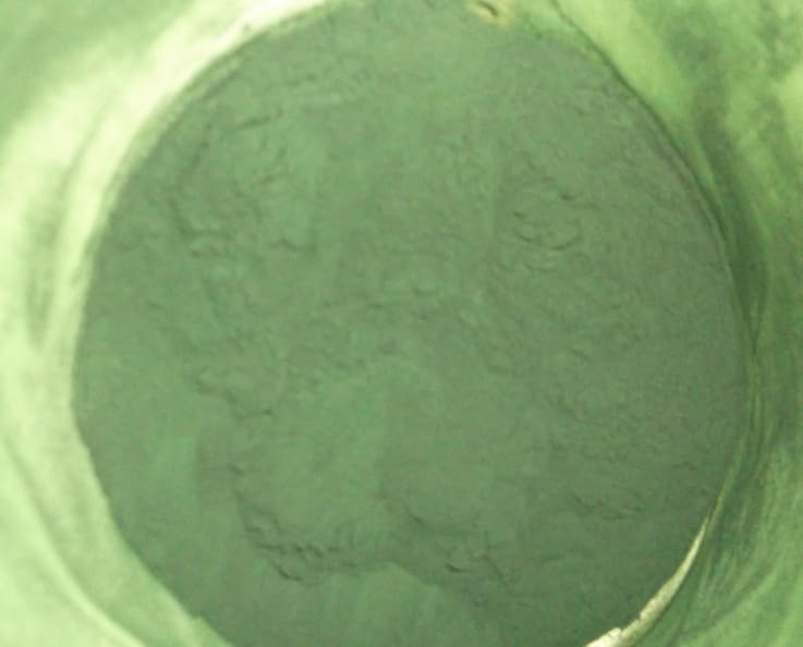 Carlyle Organic Spirulina Powder 2.2 lbs | Blue Green Algae | 8g Spirulina per Serving | Vegan, Non-GMO, Gluten Free Supplement customer photo 1