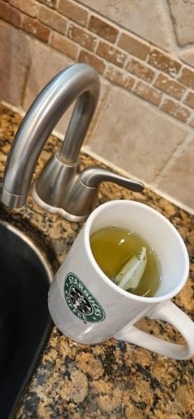 FGO Organic Sencha Green Tea, 100 Count, Eco-Conscious Tea Bags, Resealable Bag, Sourced From Japan, Packaging May Vary (Pack of 1) customer photo 1