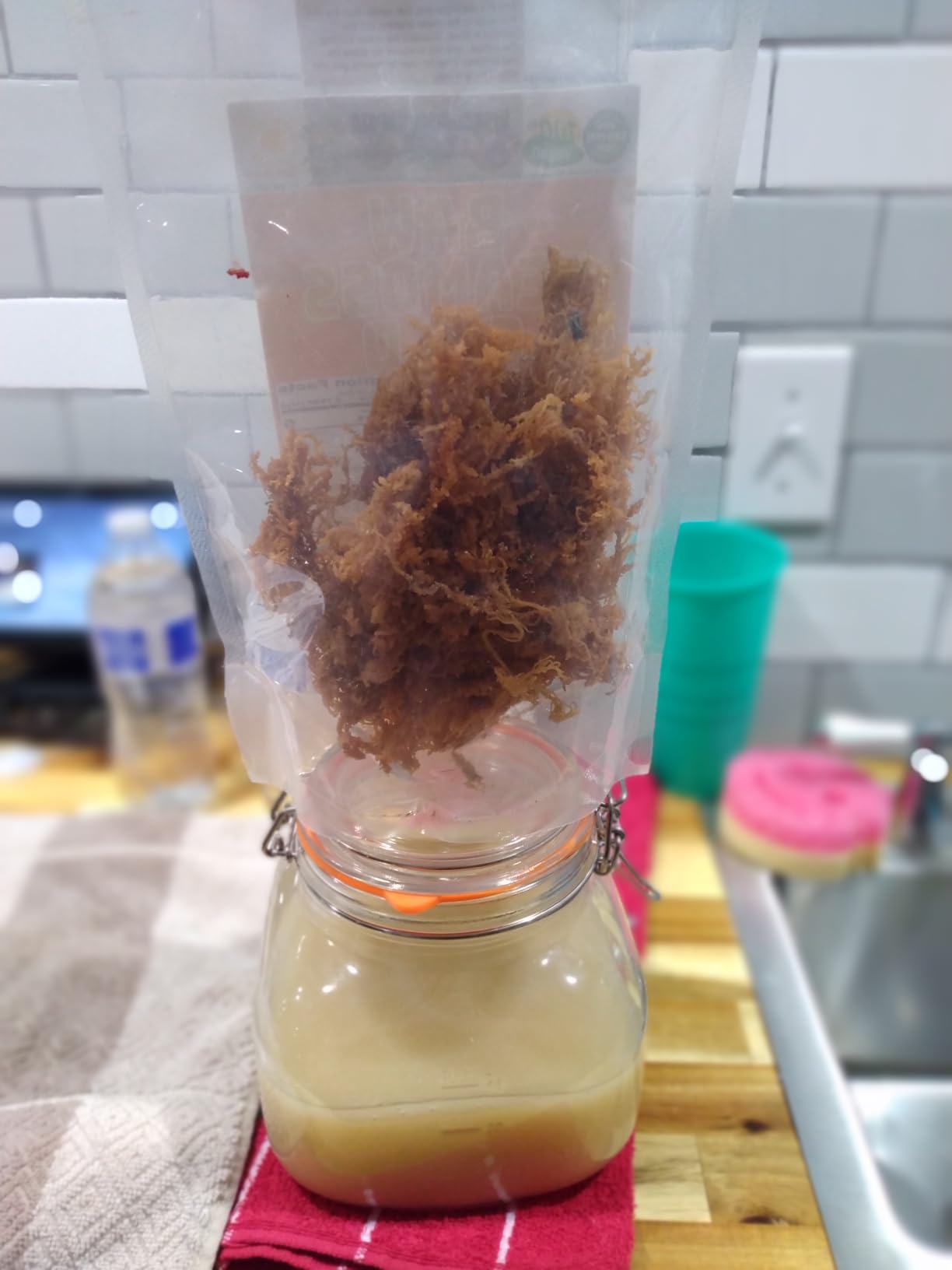 Sea Moss | Irish Sea Moss | Wildcrafted - 100% Natural, Makes 120+ oz of Seamoss Gel | Dr. Sebi - 8oz for Health & Wellness customer photo 1
