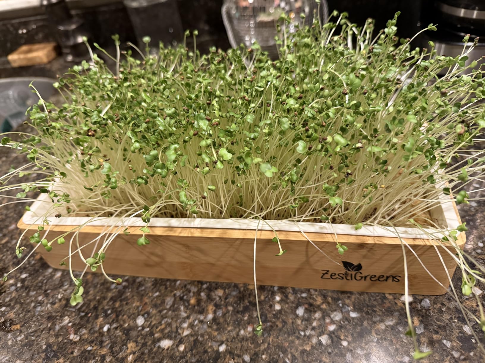 Organic Self-Watering Microgreens Growing Kit - Reusable Indoor Grow Tray with Organic Seeds, Grow Mats & Bamboo Frame - Easy No-Soil Microgreens Starter Kit (Broccoli & Salad Mix) customer photo 2