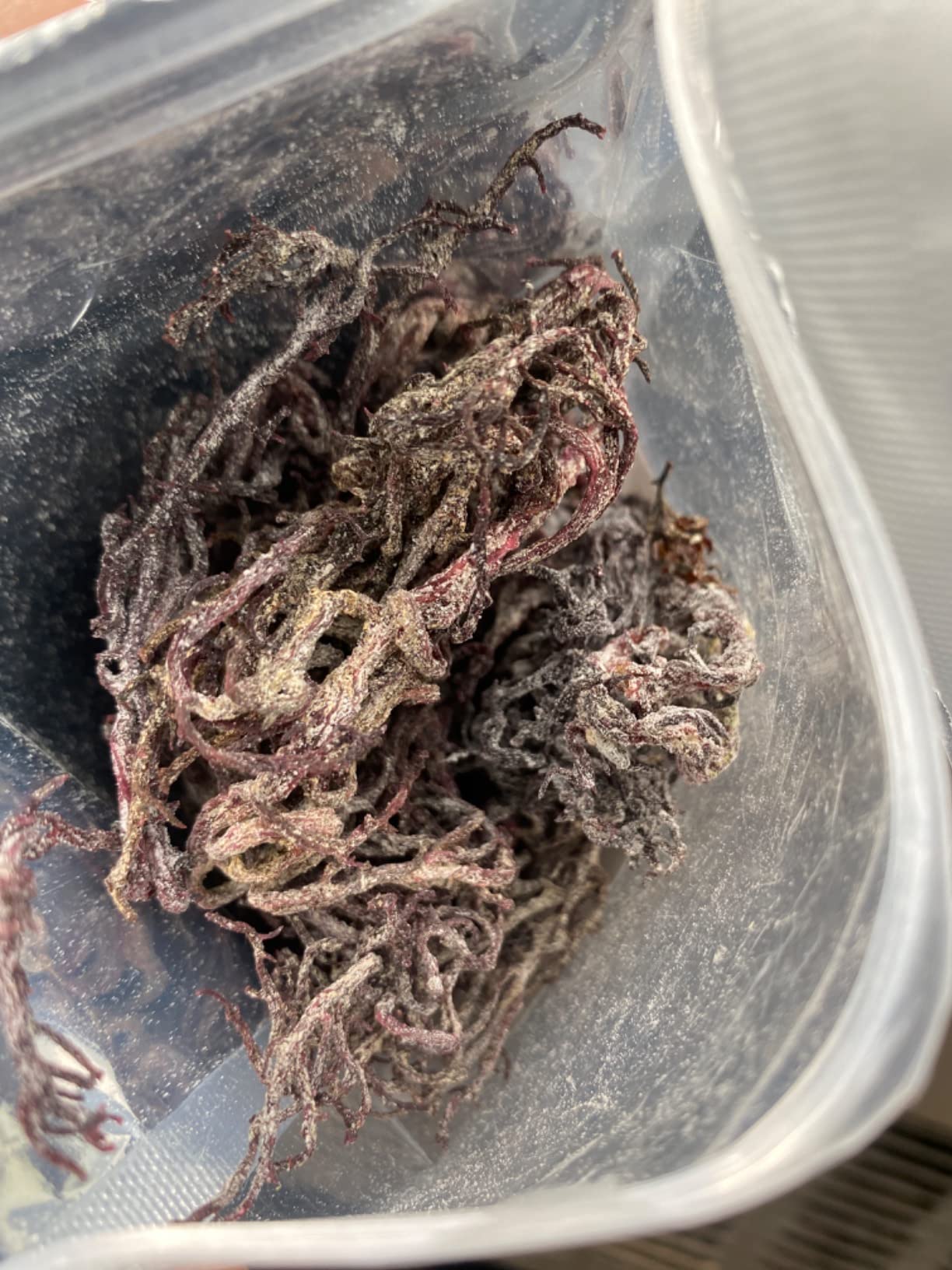 Herb To Body Purple Sea Moss - 4oz, Purple Sea Moss, Gold, 100% Wildcrafted from Saint Lucia Raw and Dried, Vegan Superfood with 90+ Minerals, Non-GMO customer photo 2