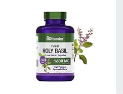 tnvitamins Holy Basil Capsules - 240 Count | 8 Month Supply | AKA Tulsi | May Promote Stress & Frustration Relief* | Attachogenic, & Ayurvedic Herb customer photo 1
