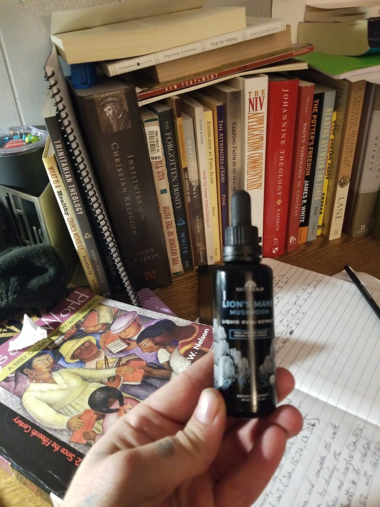 Naturealm Lion's Mane Mushroom Liquid Tincture Supplement - Focus, Memory & Brain Health, Vegan, Non-GMO - Organic Fruiting Bodies, 1 Month Supply customer photo 1