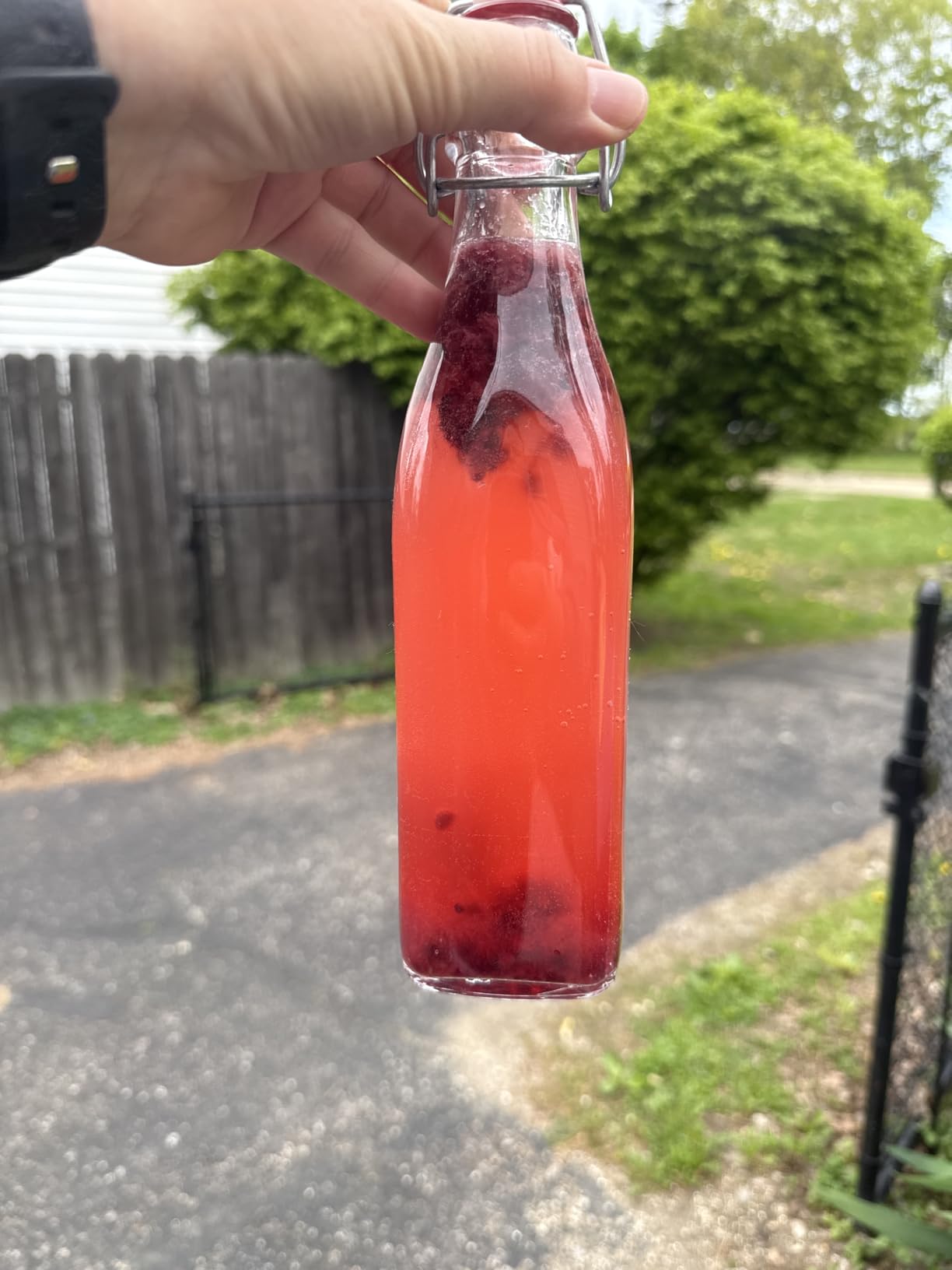 Natural Probio Water Kefir Grains - Starter Culture Kit - Fruit Kefir + Complete Guide, Recipe & Tips + Ebook Library Access + Customer Support customer photo 1