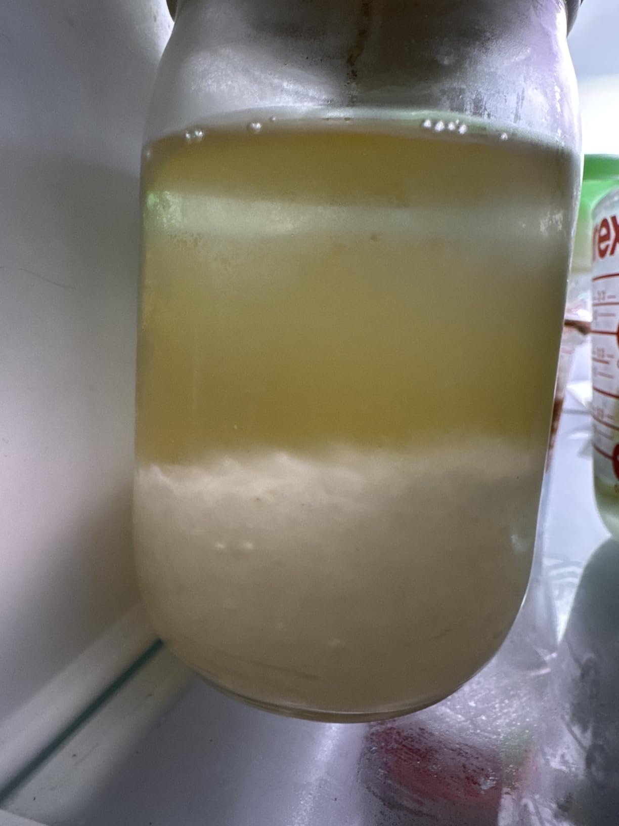 Natural Probio Water Kefir Grains - Starter Culture Kit - Fruit Kefir + Complete Guide, Recipe & Tips + Ebook Library Access + Customer Support customer photo 2