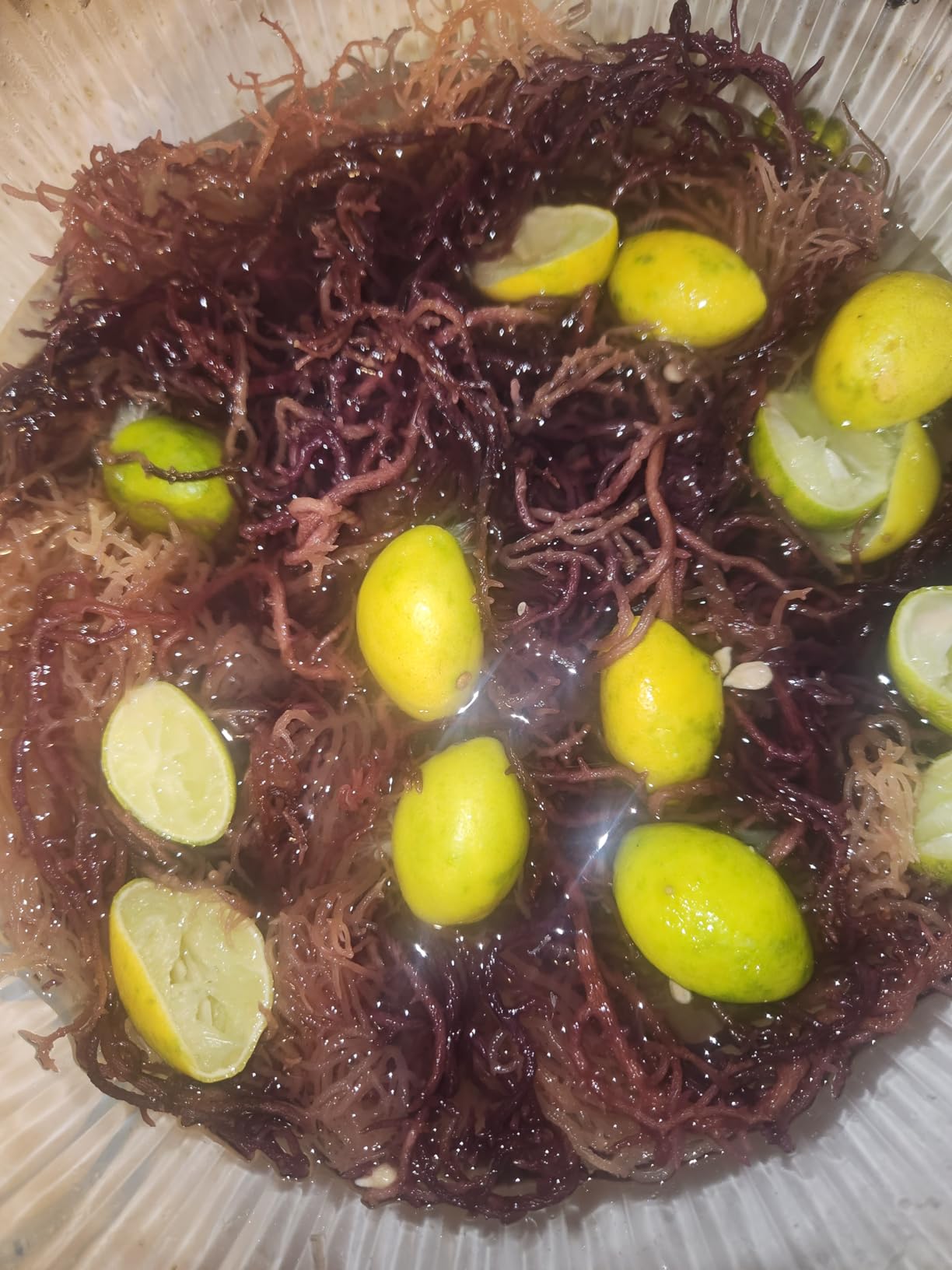 Purple Irish Sea Moss | Wildcrafted from St. Lucia | 8oz Makes ~120+ oz Sea Moss Gel | 100% Natural, Raw & Sun-Dried | Dr. Sebi Inspired, Nutrient-Rich Irish Moss for Health & Wellness customer photo 2