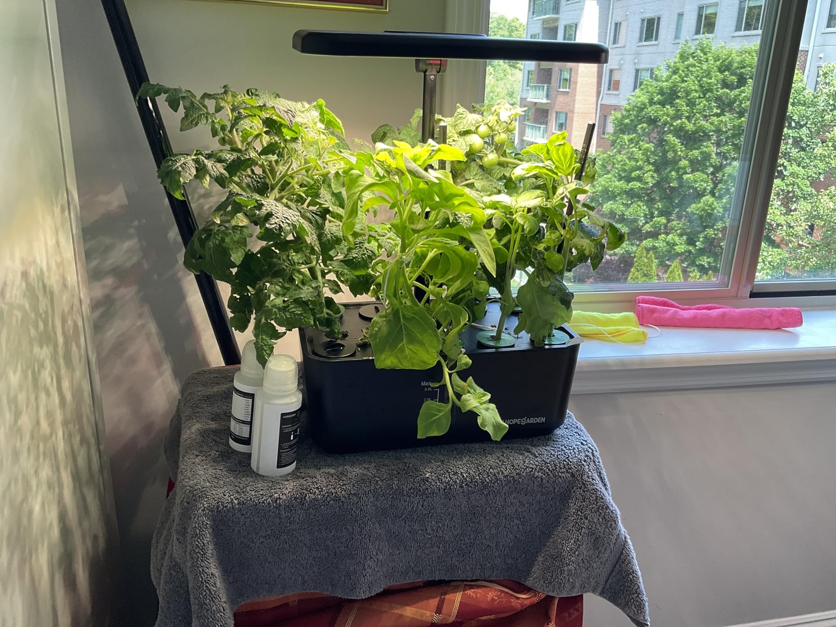 Ahopegarden Indoor Garden Hydroponics Growing System: 10 Pods Kit with LED | Plant Germination Kit Herb Vegetable Growth Lamp Countertop, Hydroponic Planter Grower Harvest Lettuce for Healthy Home Cooks customer photo 2